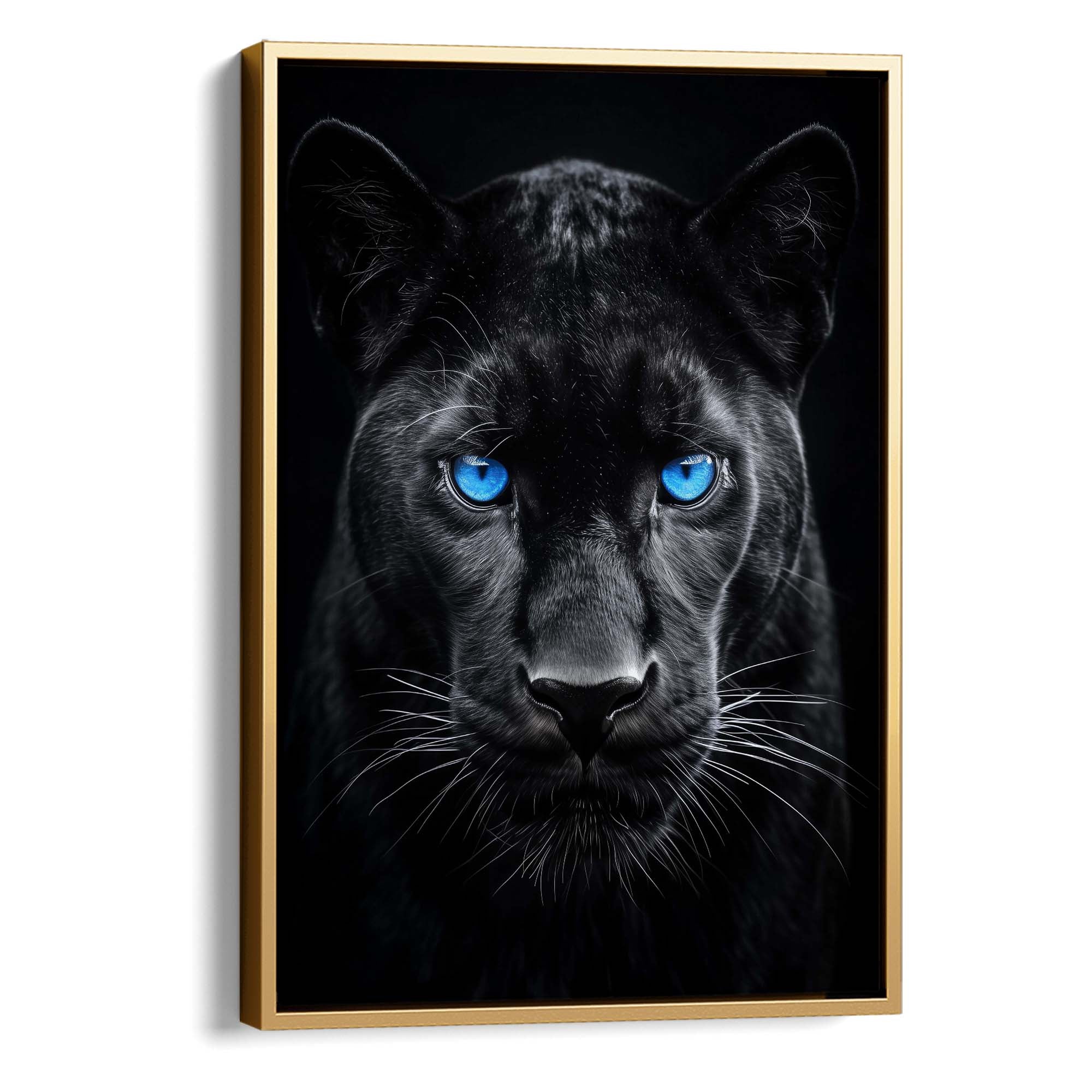 Black Panther Gaze Canvas Print