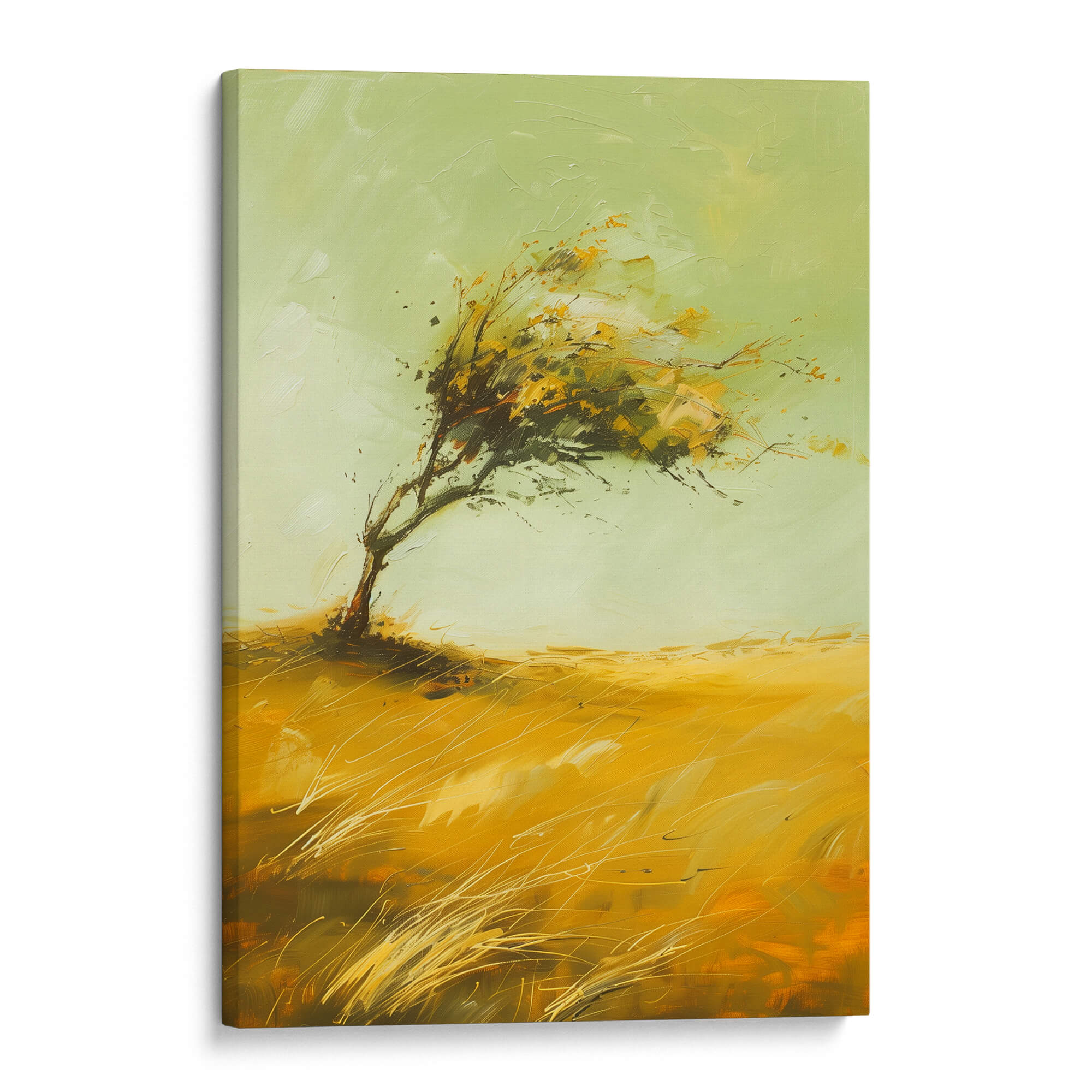 Fields of Motion Canvas Print