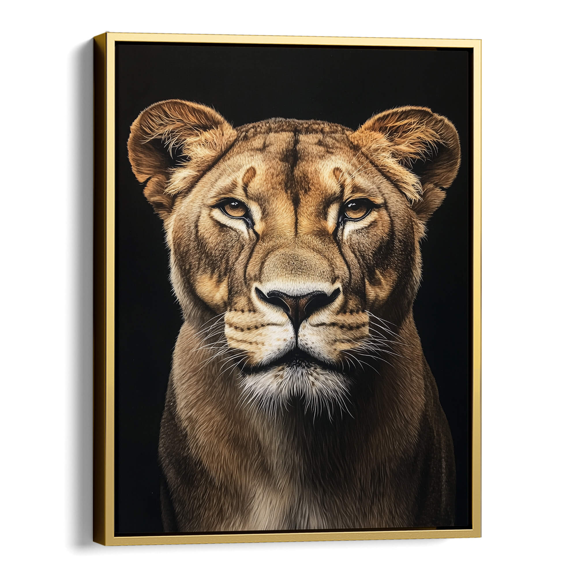 Focused Lioness Canvas Print Canvas Art Wildfrog Art