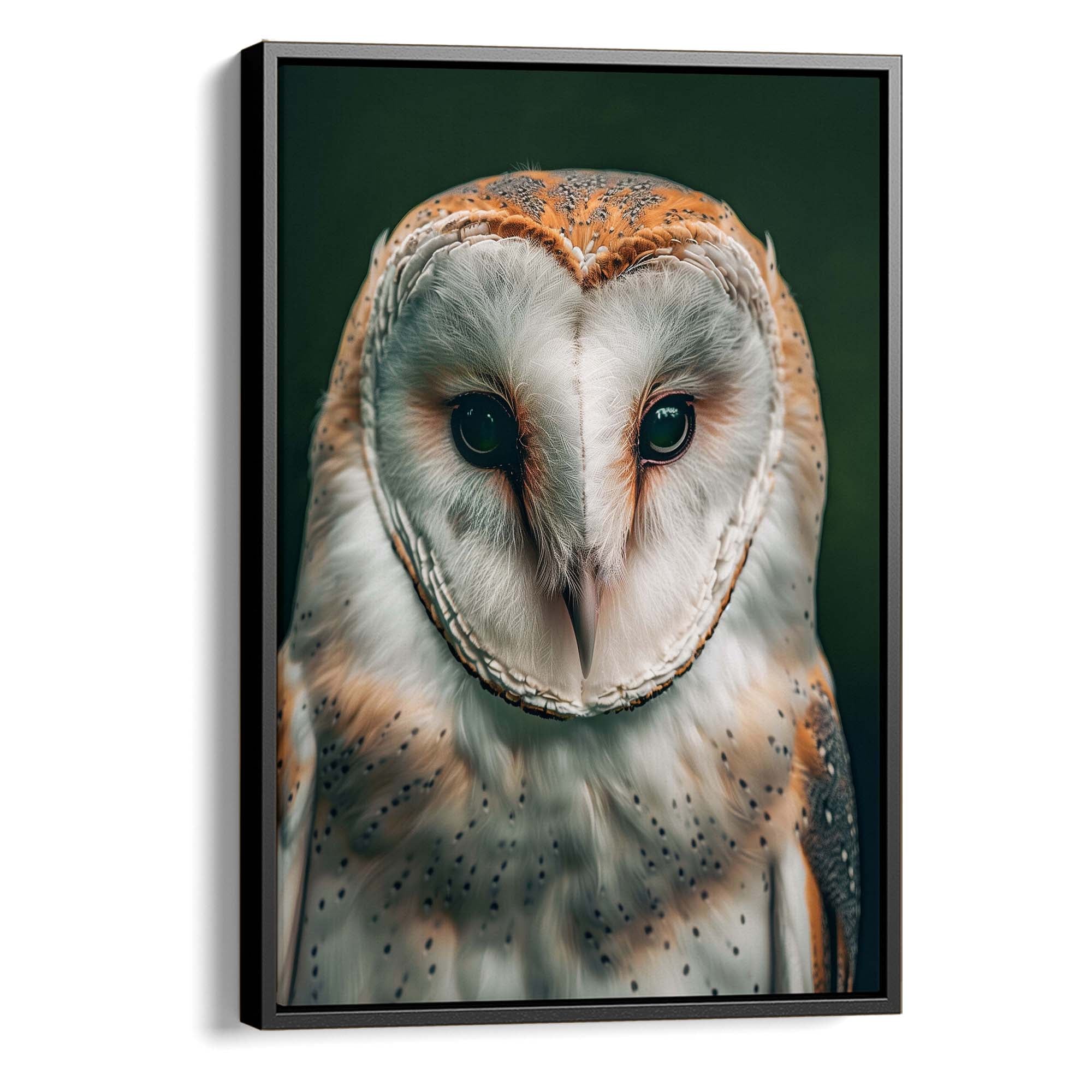 Gentle Barn Owl Canvas Print Canvas Art Wildfrog Art