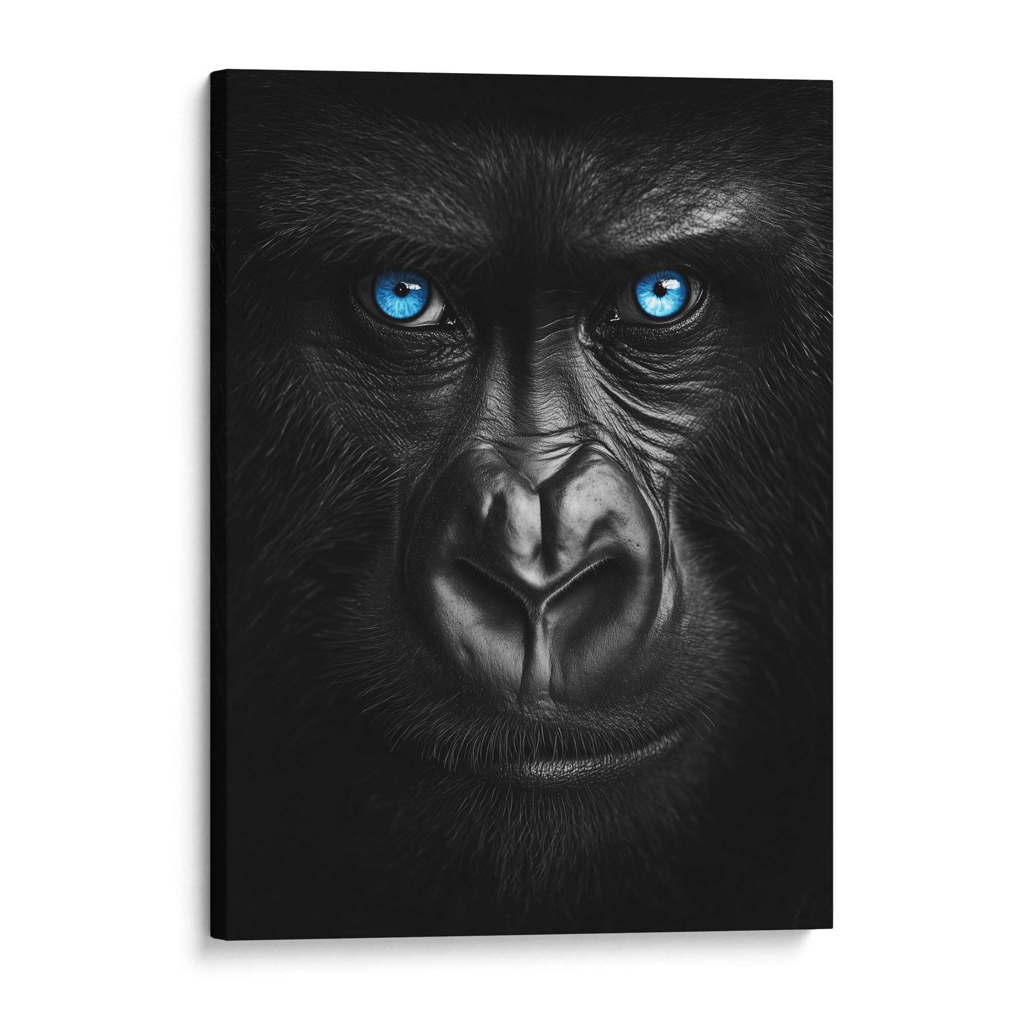 Gorilla Face with Blue Eyes Canvas Art Wildfrog Art