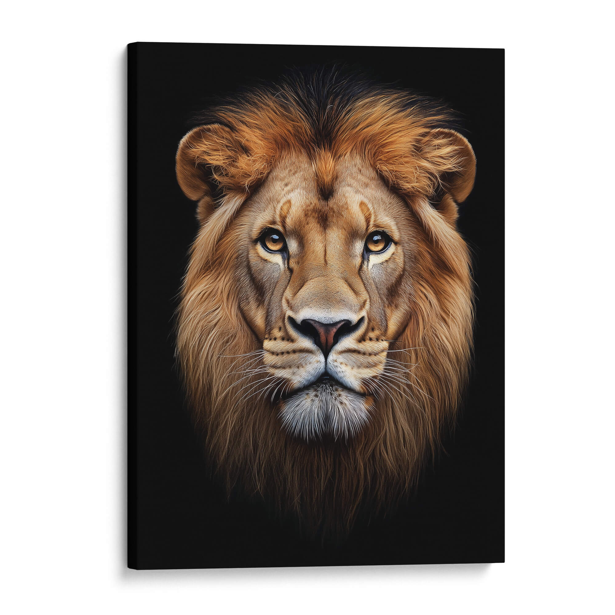 Lion Stare Canvas Print Canvas Art Wildfrog Art