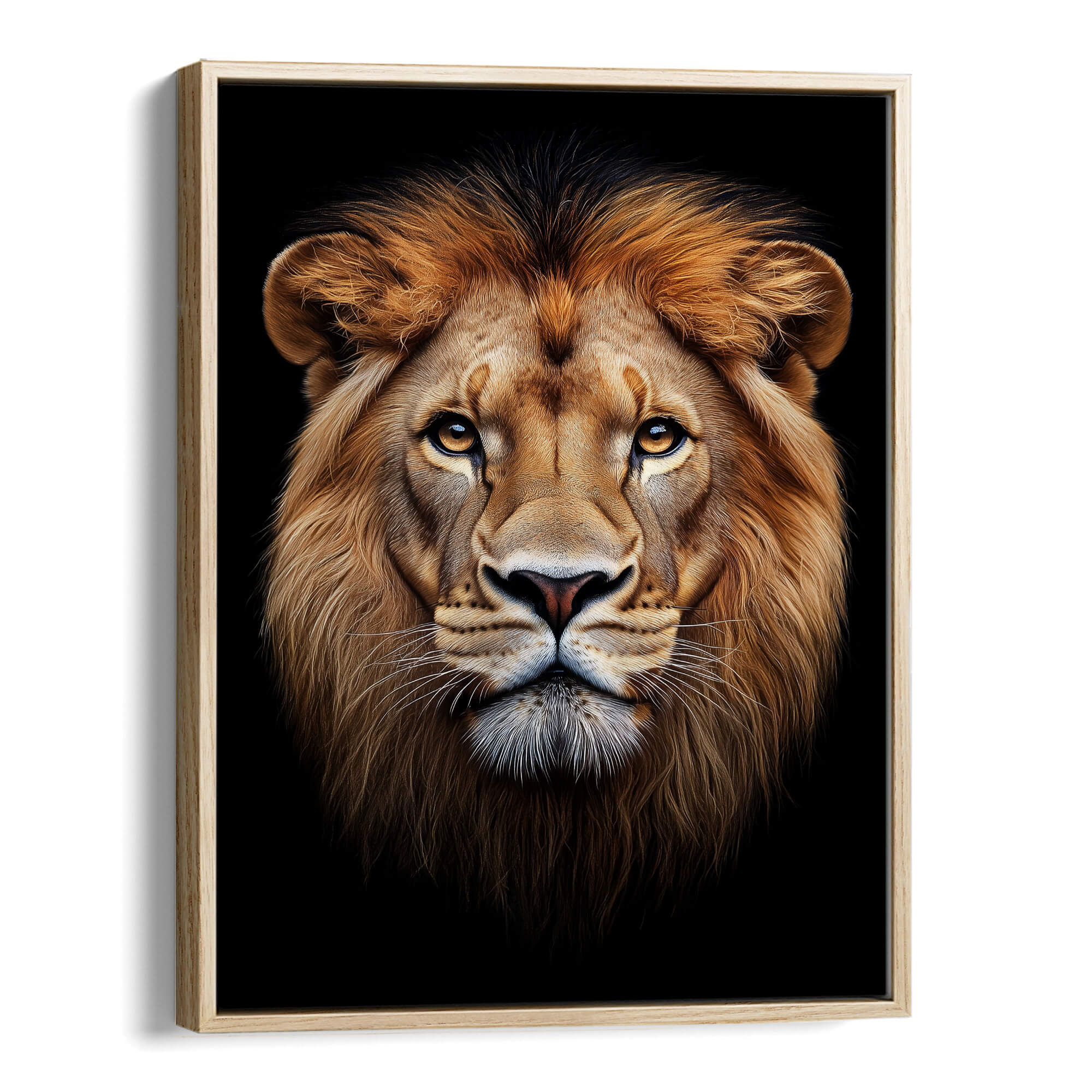 Lion Stare Canvas Print Canvas Art Wildfrog Art