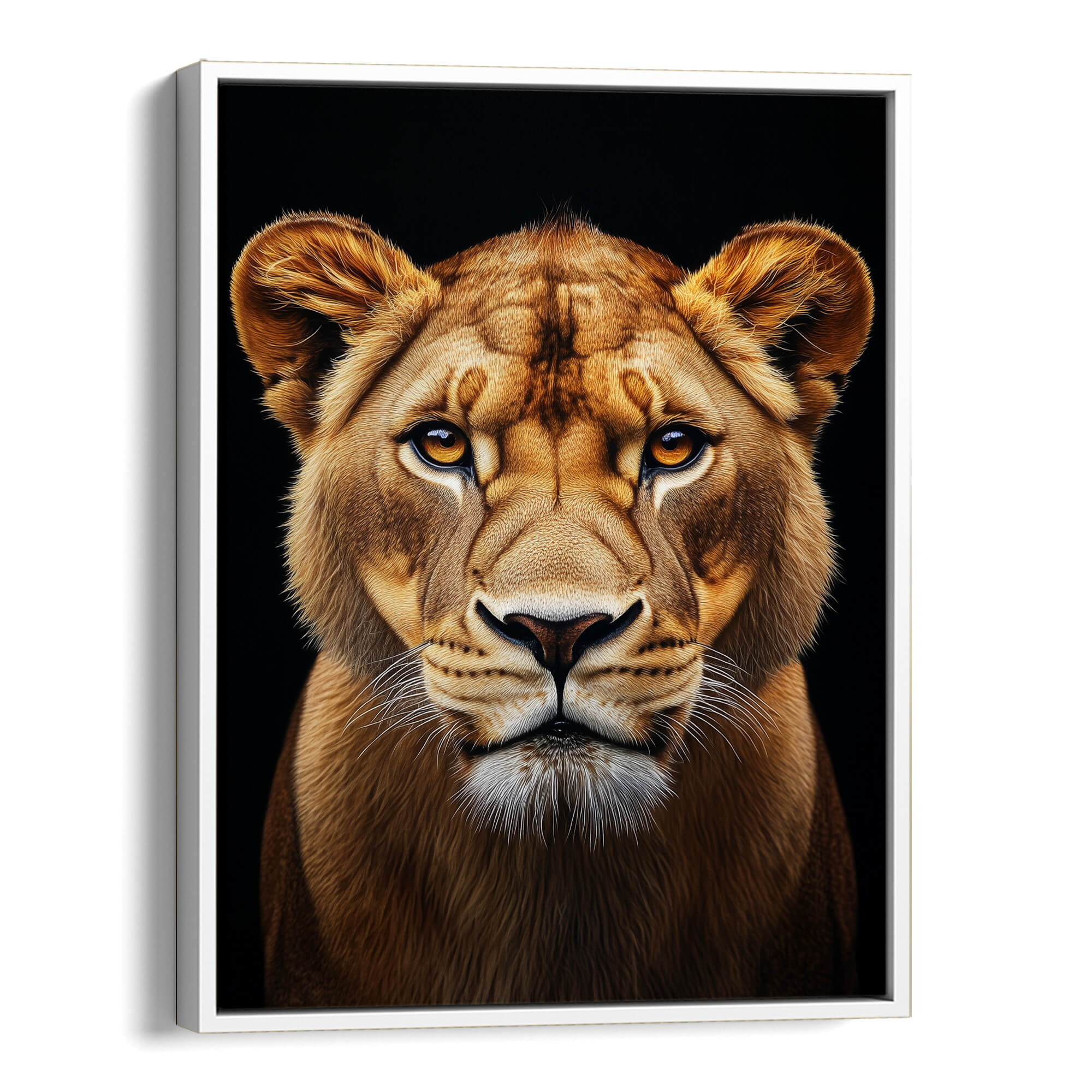 Lioness Portrait Amber Eyes Canvas Print Canvas Art Wildfrog Art