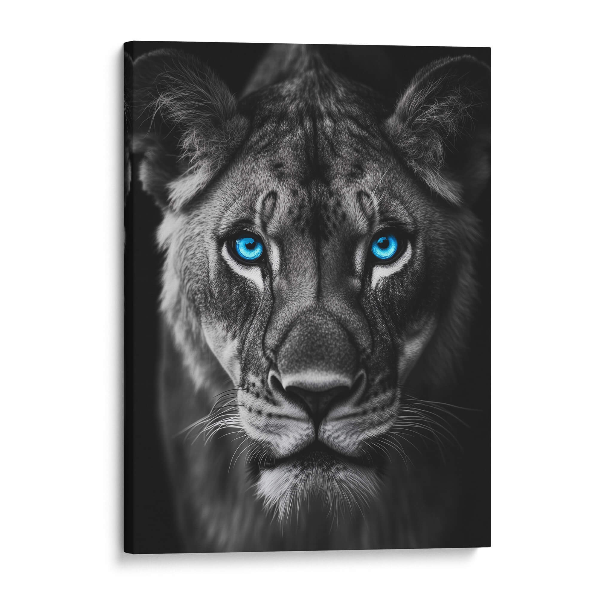 Lioness with Blue Eyes Front View Canvas Print Canvas Art Wildfrog Art