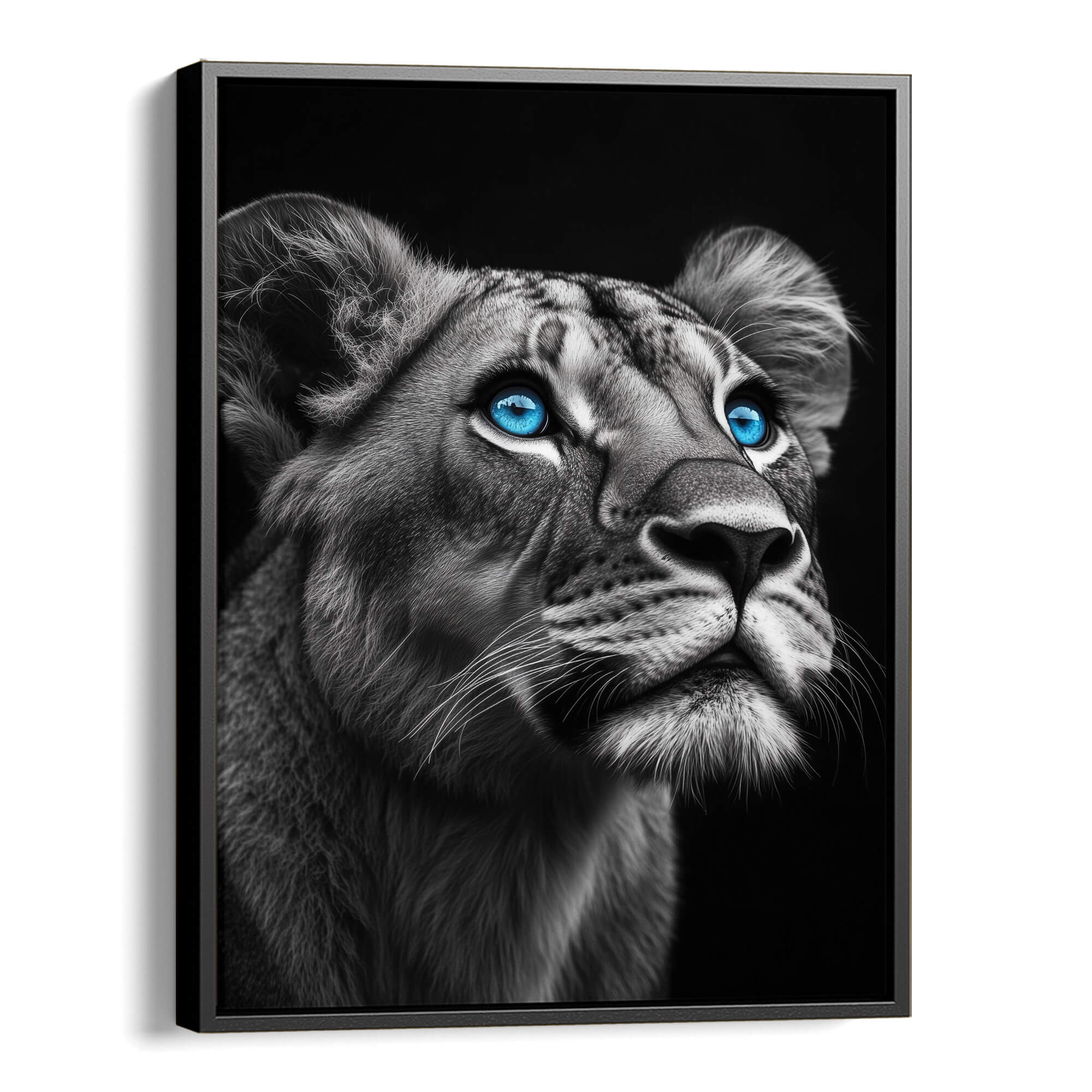 Lioness with Blue Eyes Side View Canvas Print Canvas Art Wildfrog Art