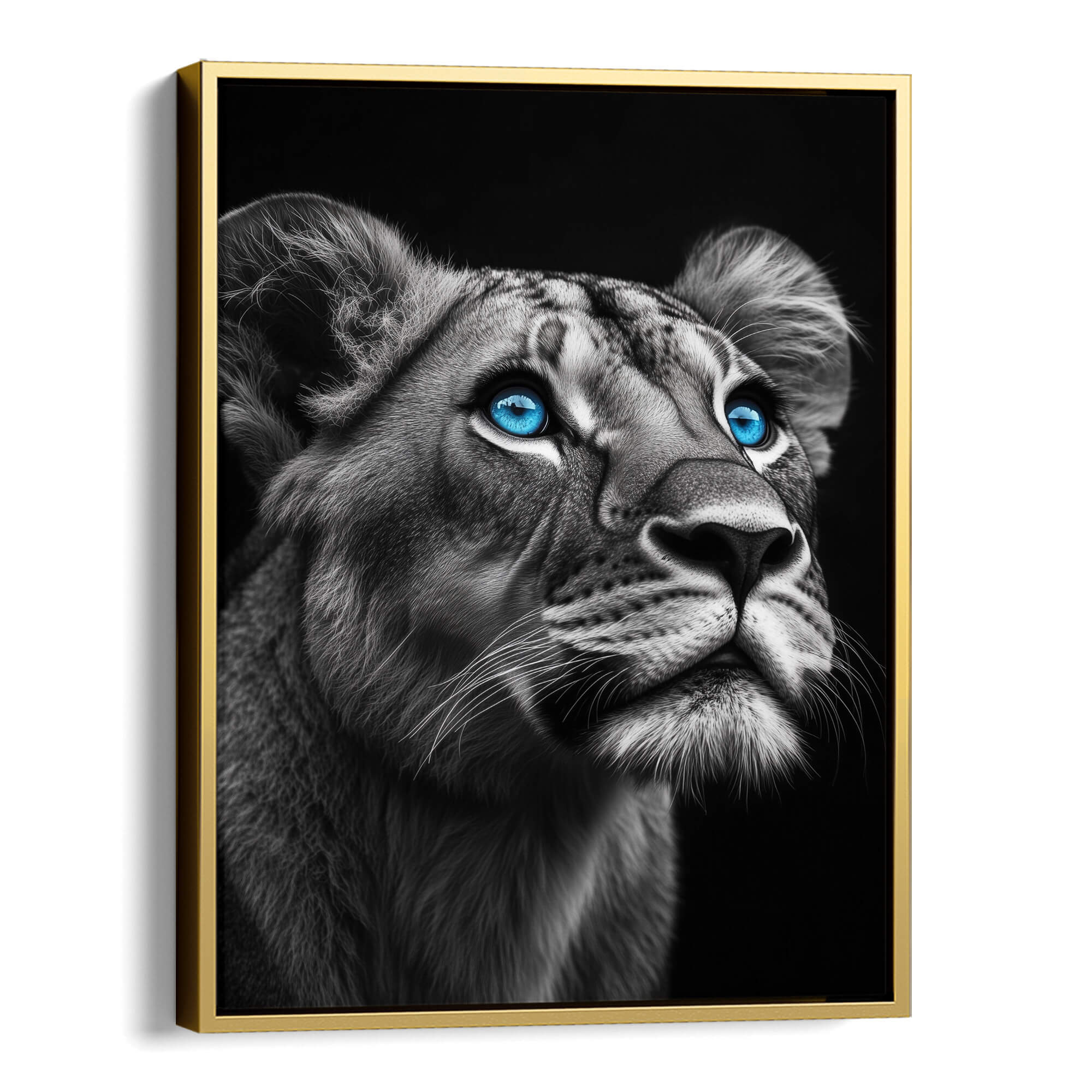 Lioness with Blue Eyes Side View Canvas Print Canvas Art Wildfrog Art