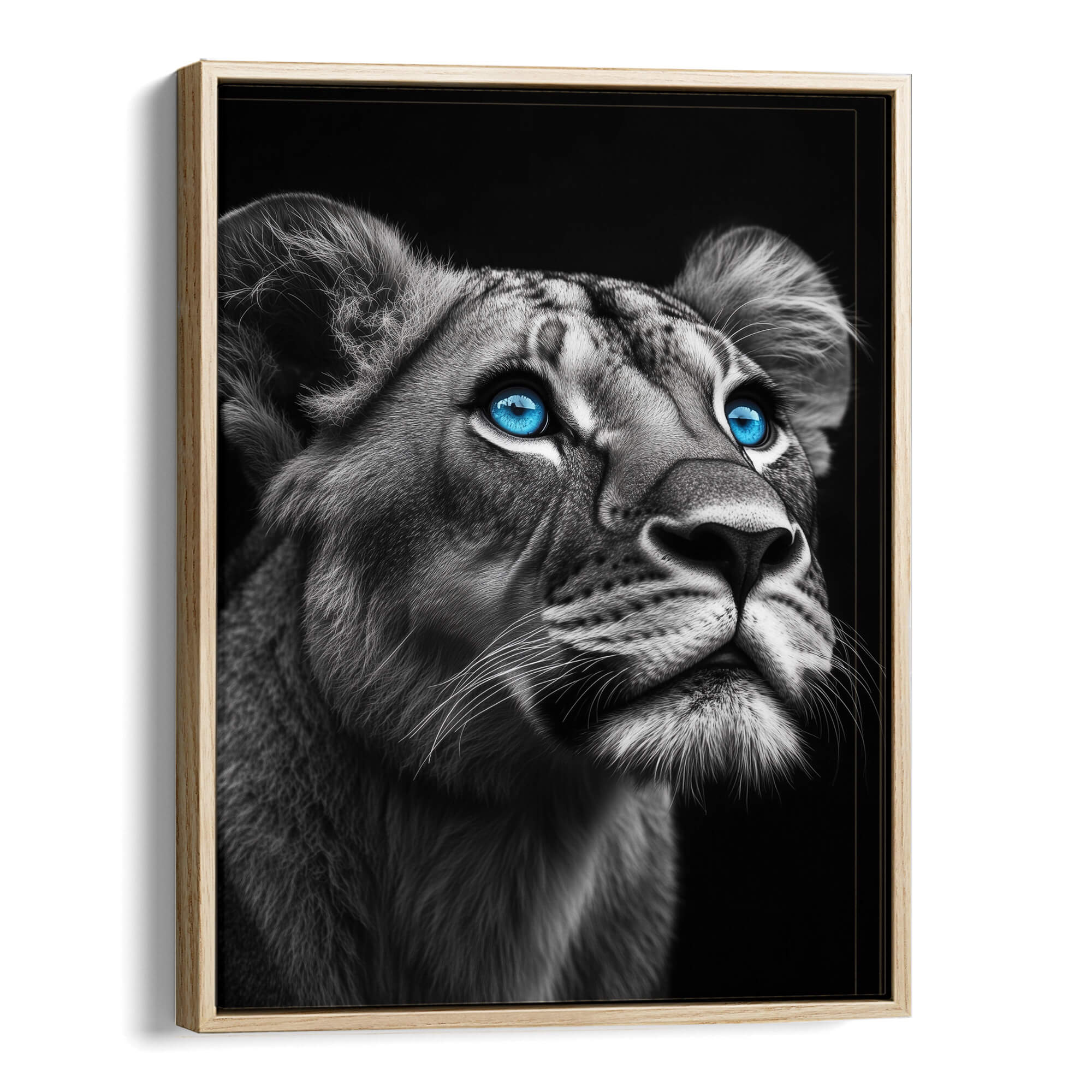Lioness with Blue Eyes Side View Canvas Print Canvas Art Wildfrog Art