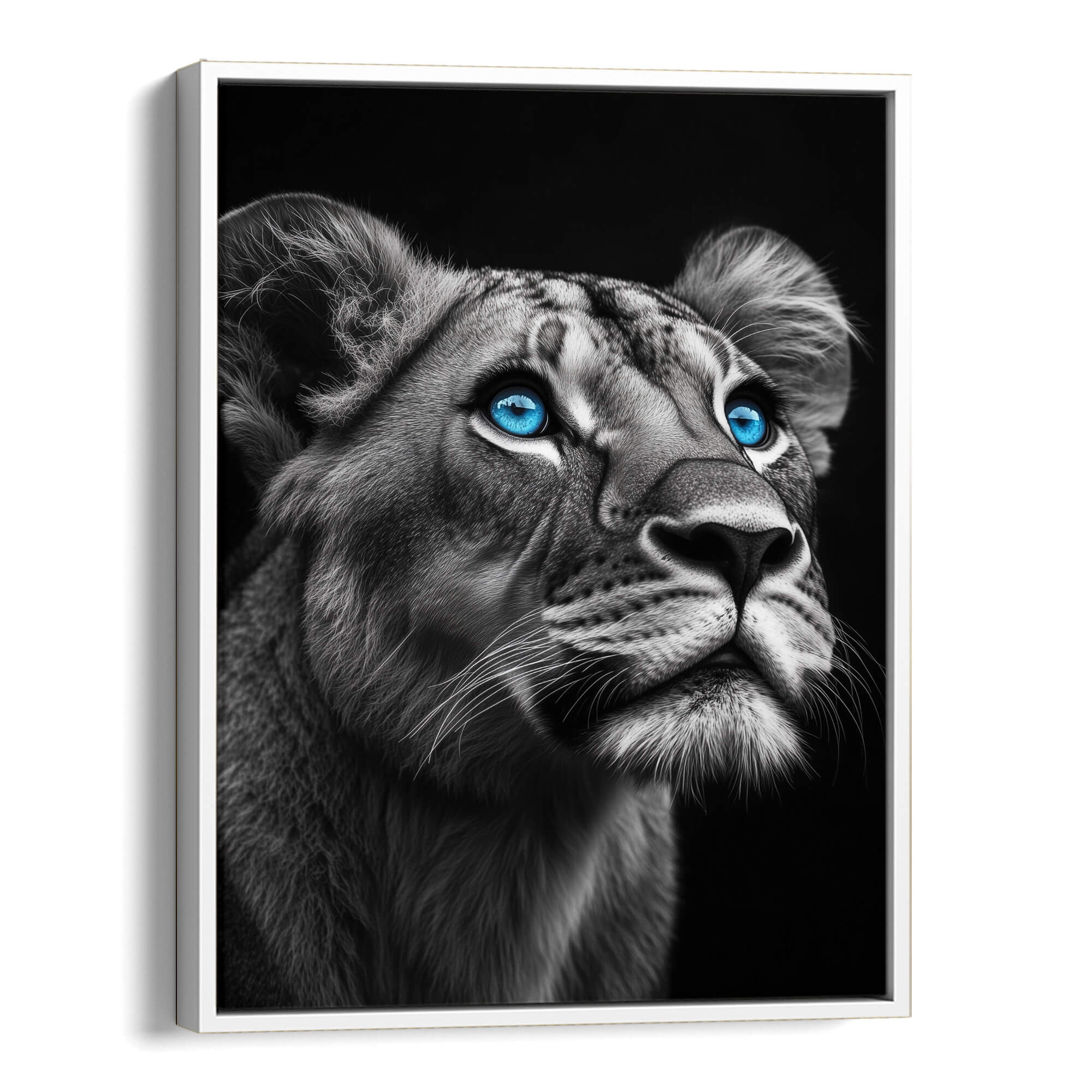 Lioness with Blue Eyes Side View Canvas Print Canvas Art Wildfrog Art