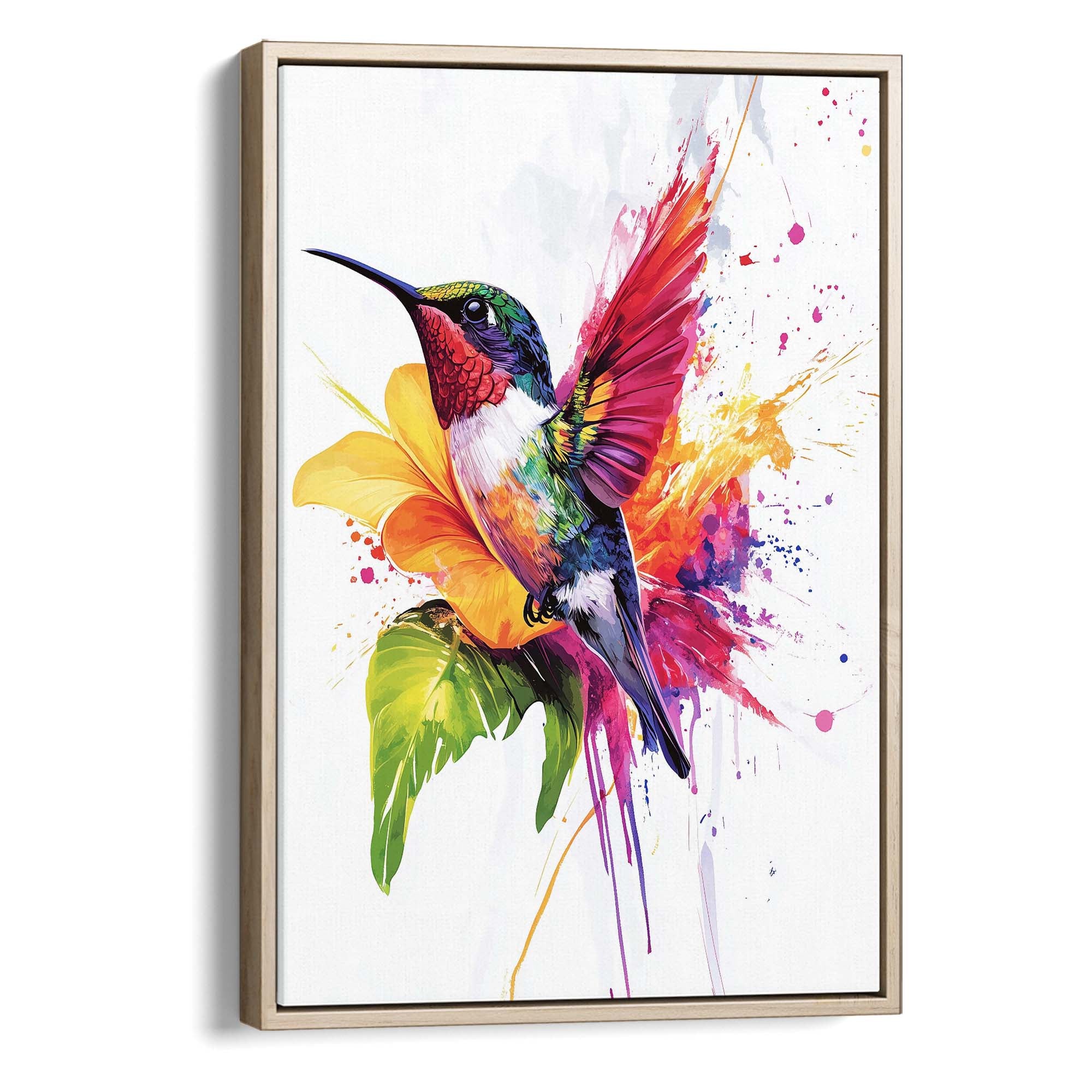 Rainbow Hummingbird No.2 Canvas Print