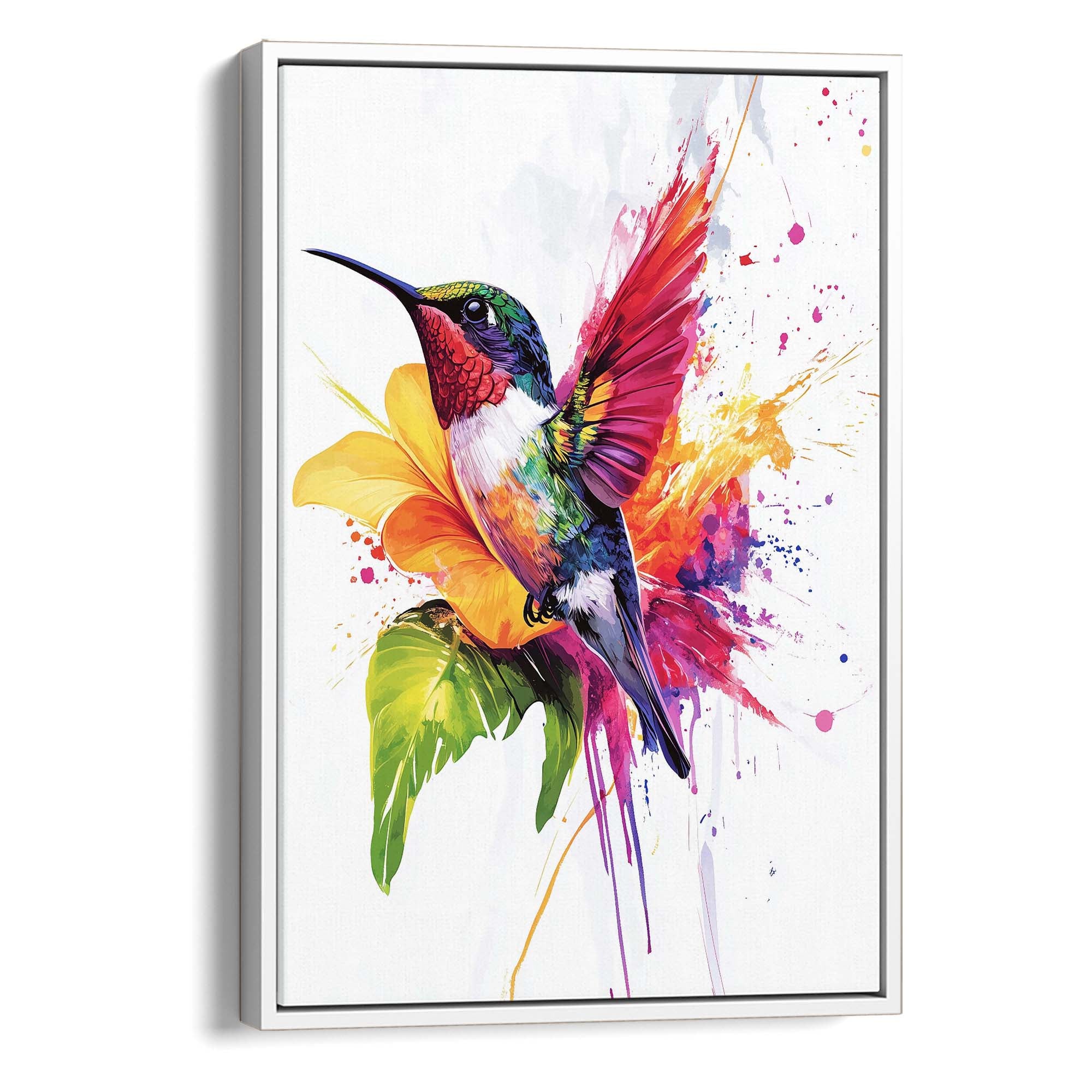 Rainbow Hummingbird No.2 Canvas Print