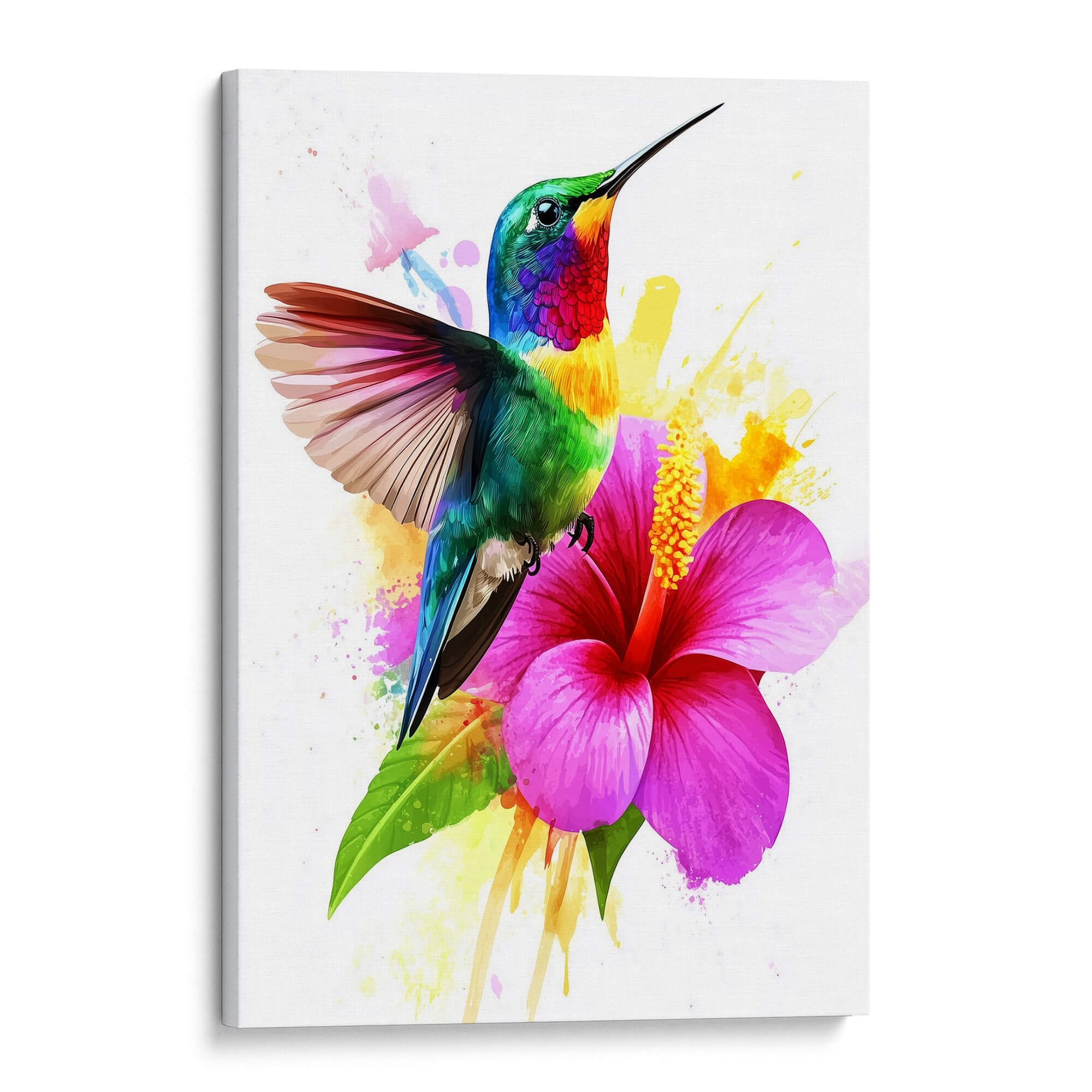 Rainbow Hummingbird No.1 Canvas Print