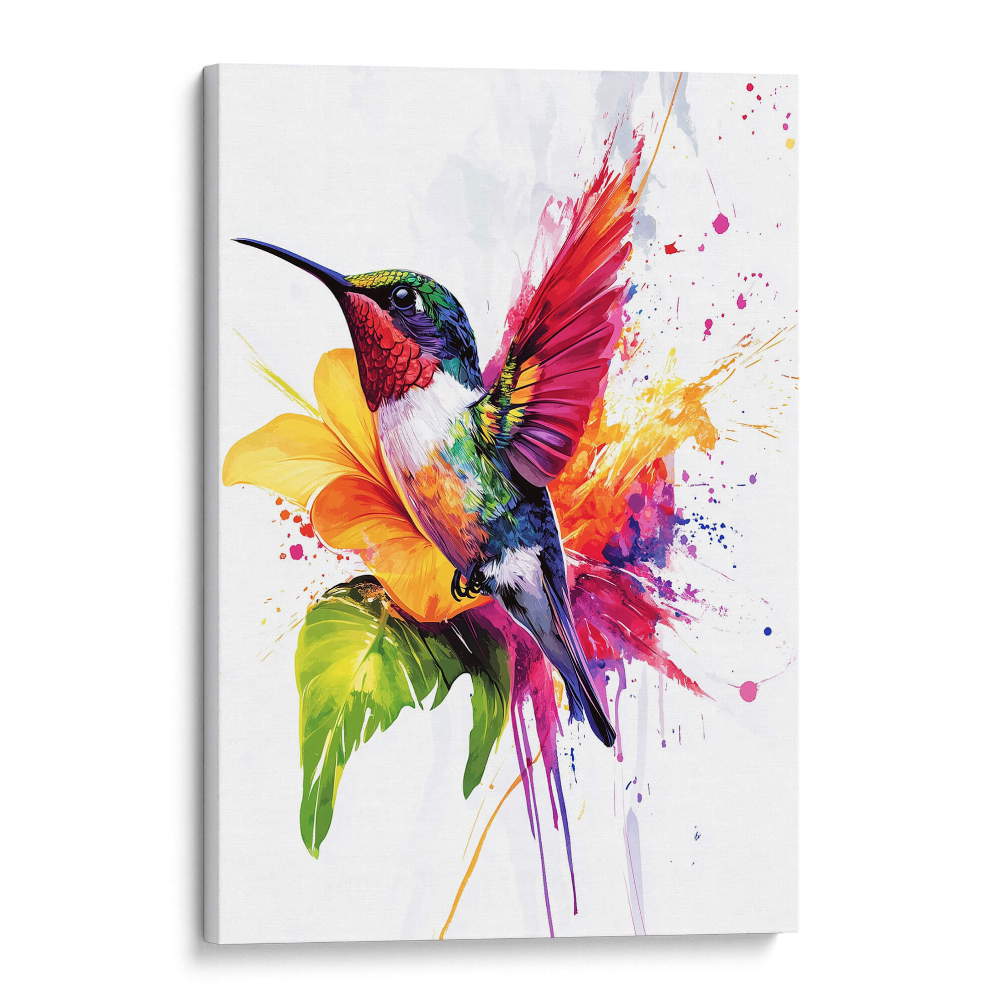 Rainbow Hummingbird No.2 Canvas Print