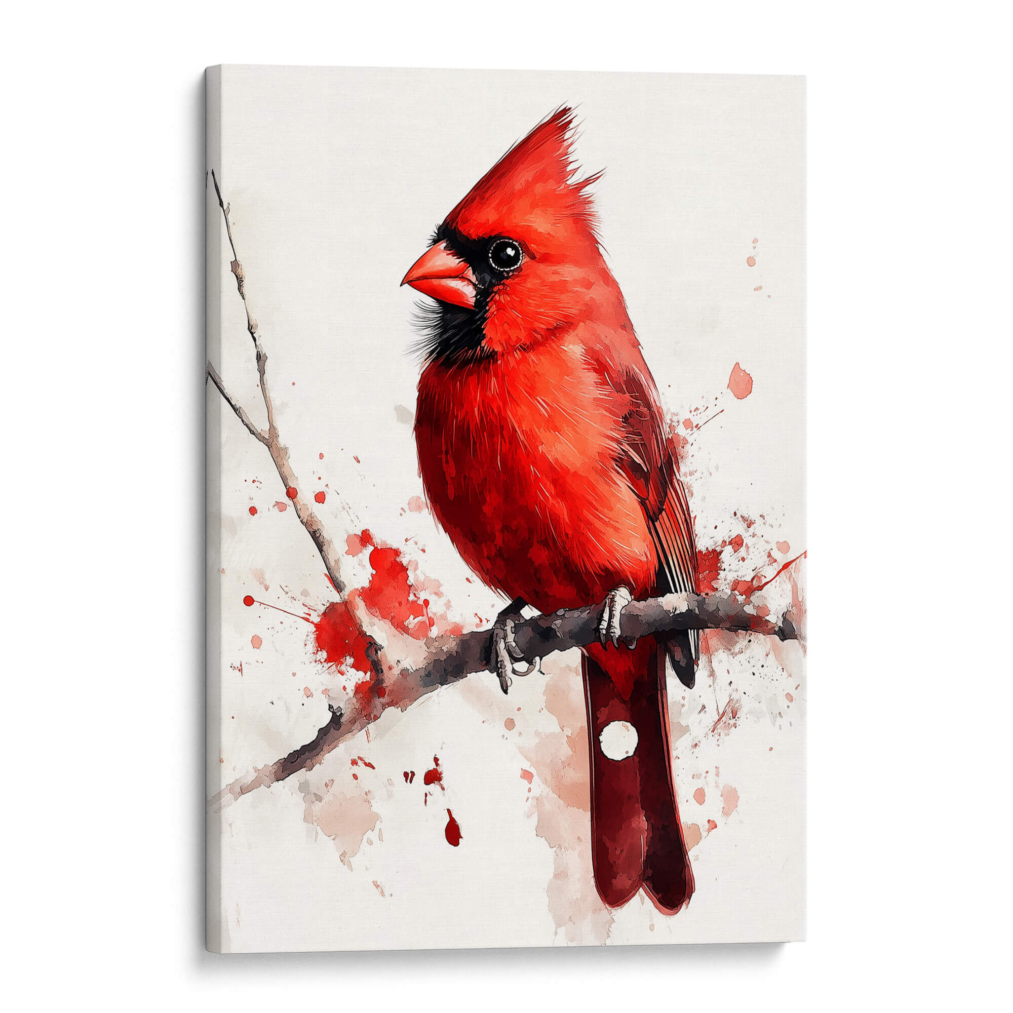 Red Branch Cardinal Canvas Print