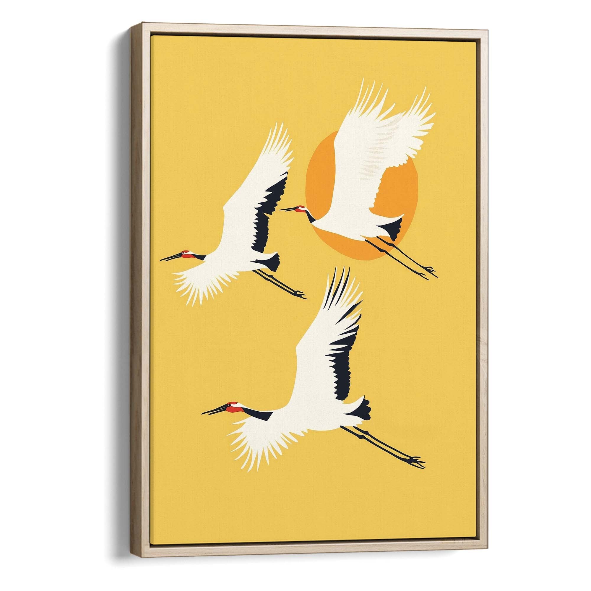 Red Crested Cranes Canvas Print