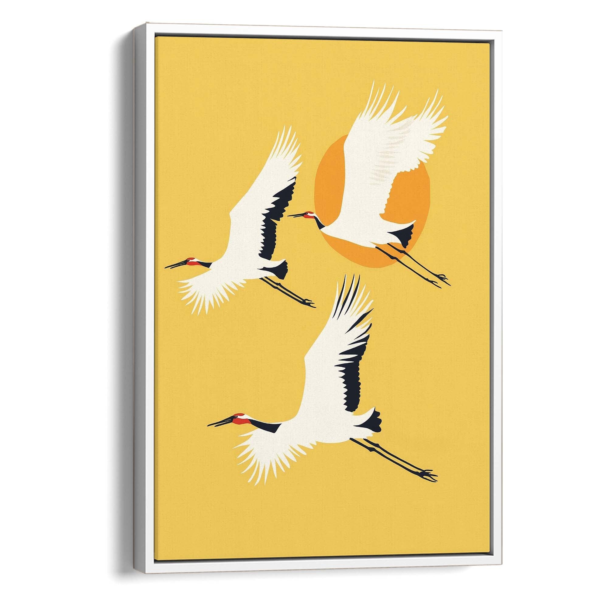 Red Crested Cranes Canvas Print