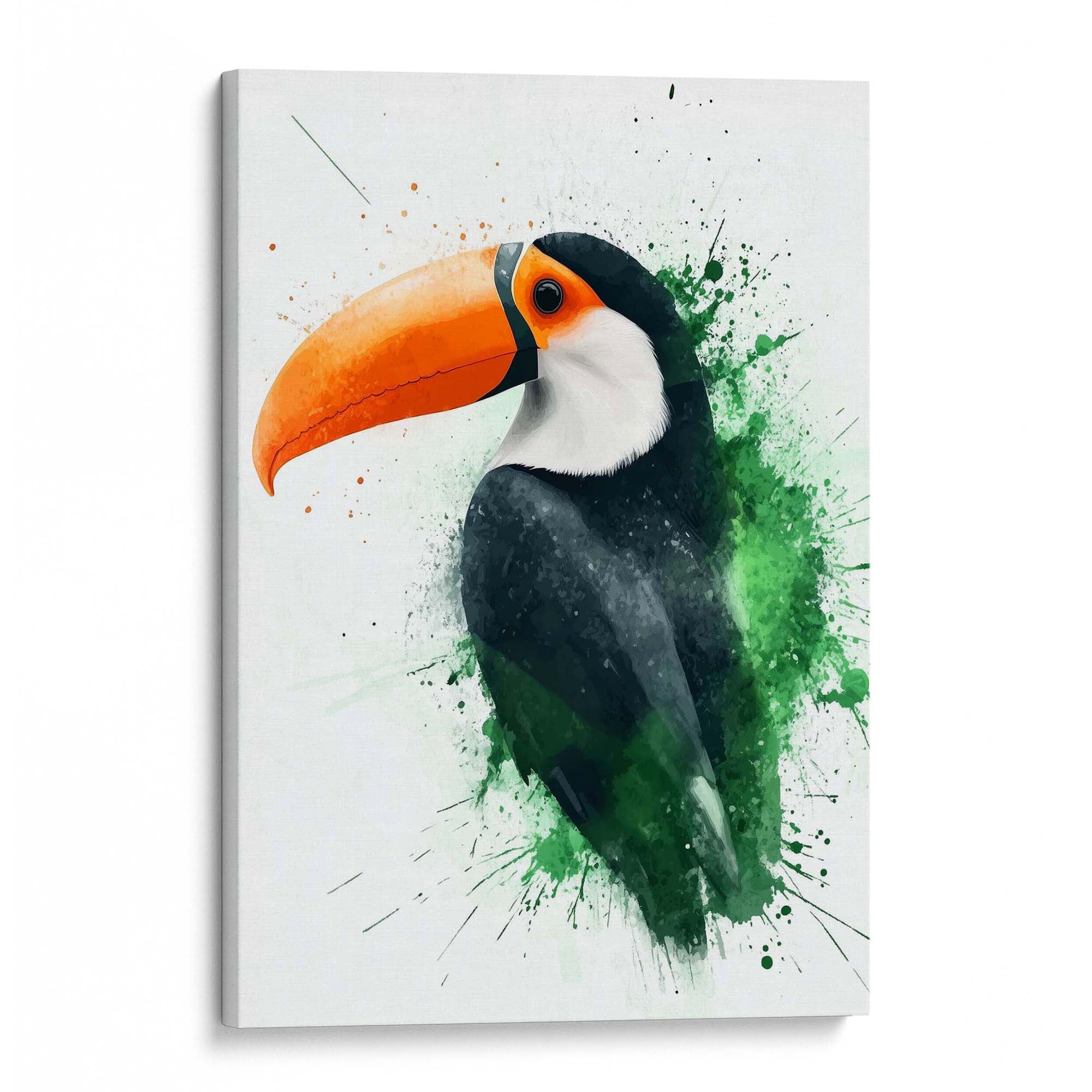 Splashed Toucan Canvas Print