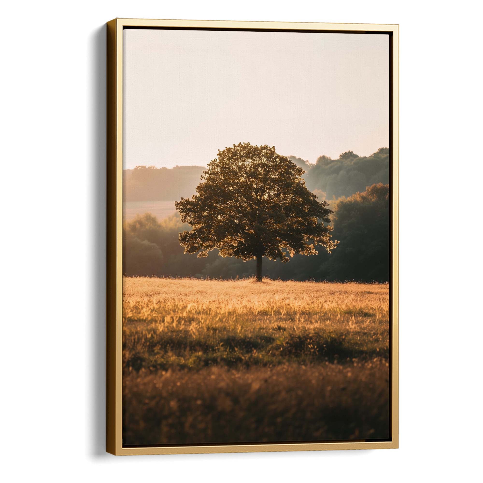 Sunlit Sanctuary Canvas Print