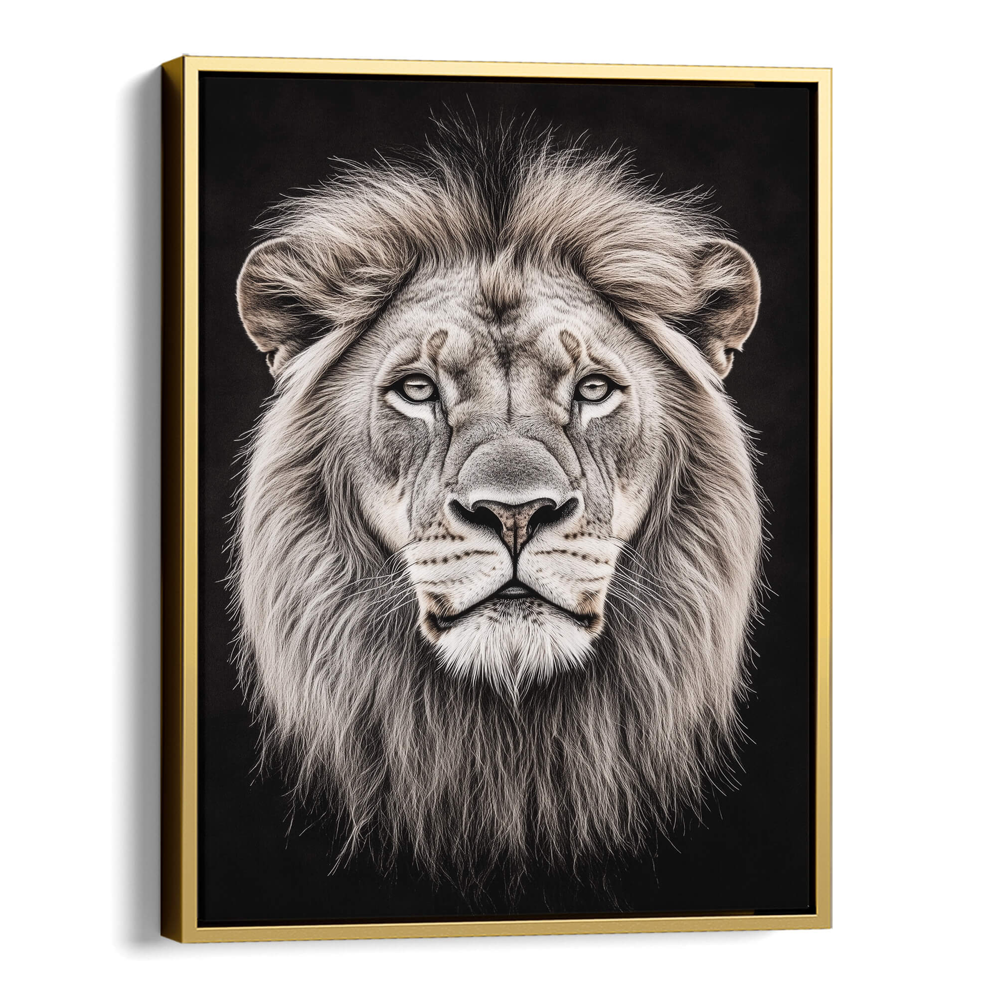 White Lion Portrait Canvas Print Canvas Art Wildfrog Art