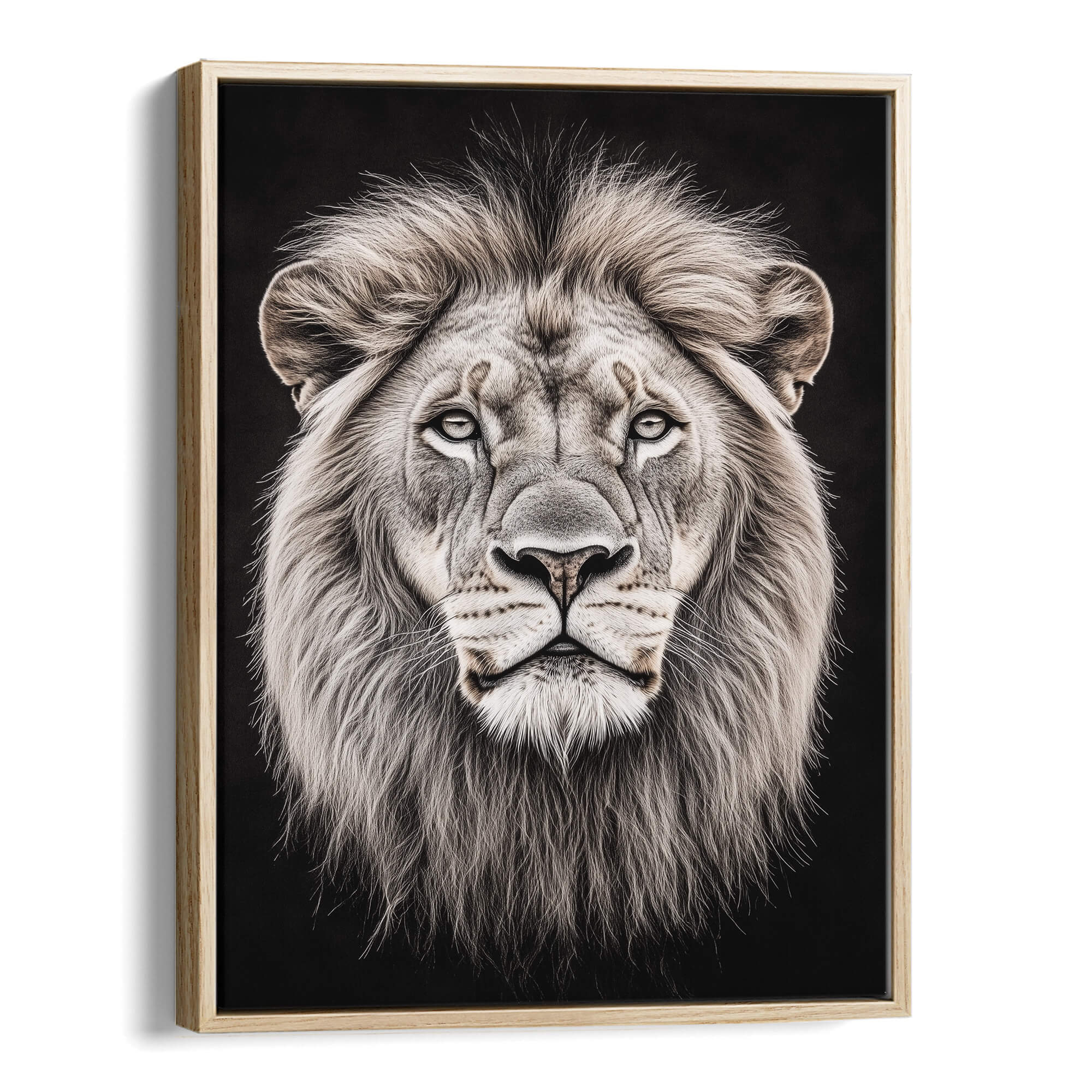 White Lion Portrait Canvas Print Canvas Art Wildfrog Art