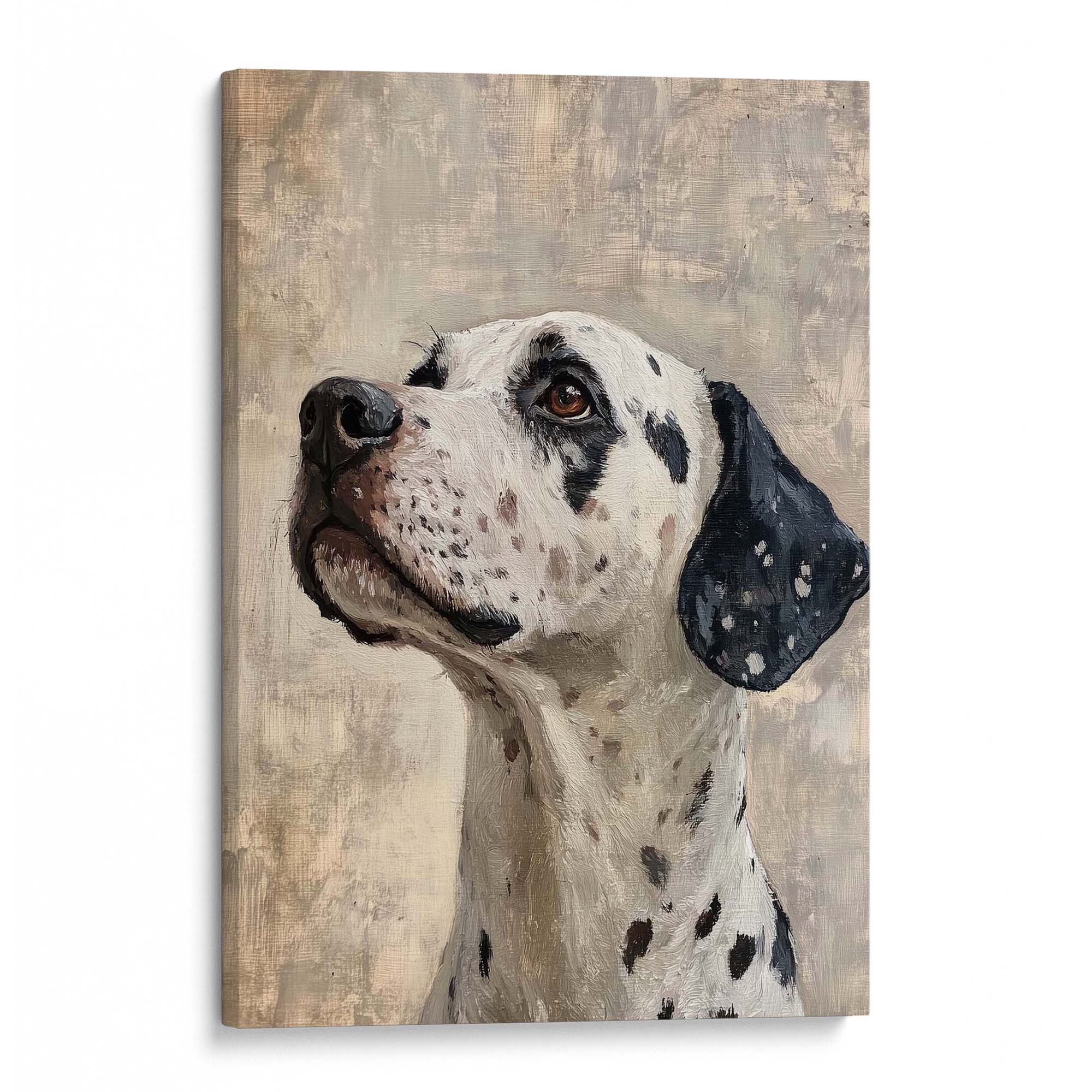 Proud Dalmatian Canvas Print