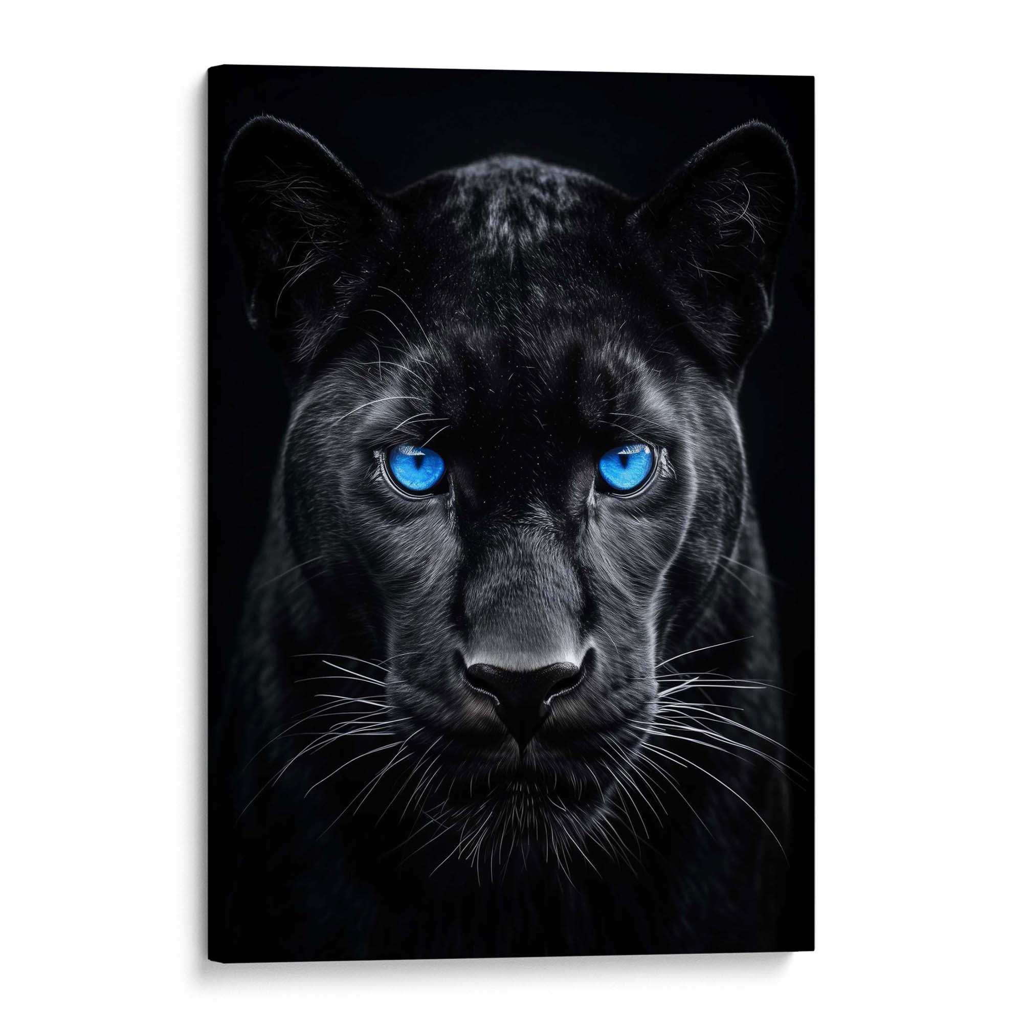 Black Panther Gaze Canvas Print
