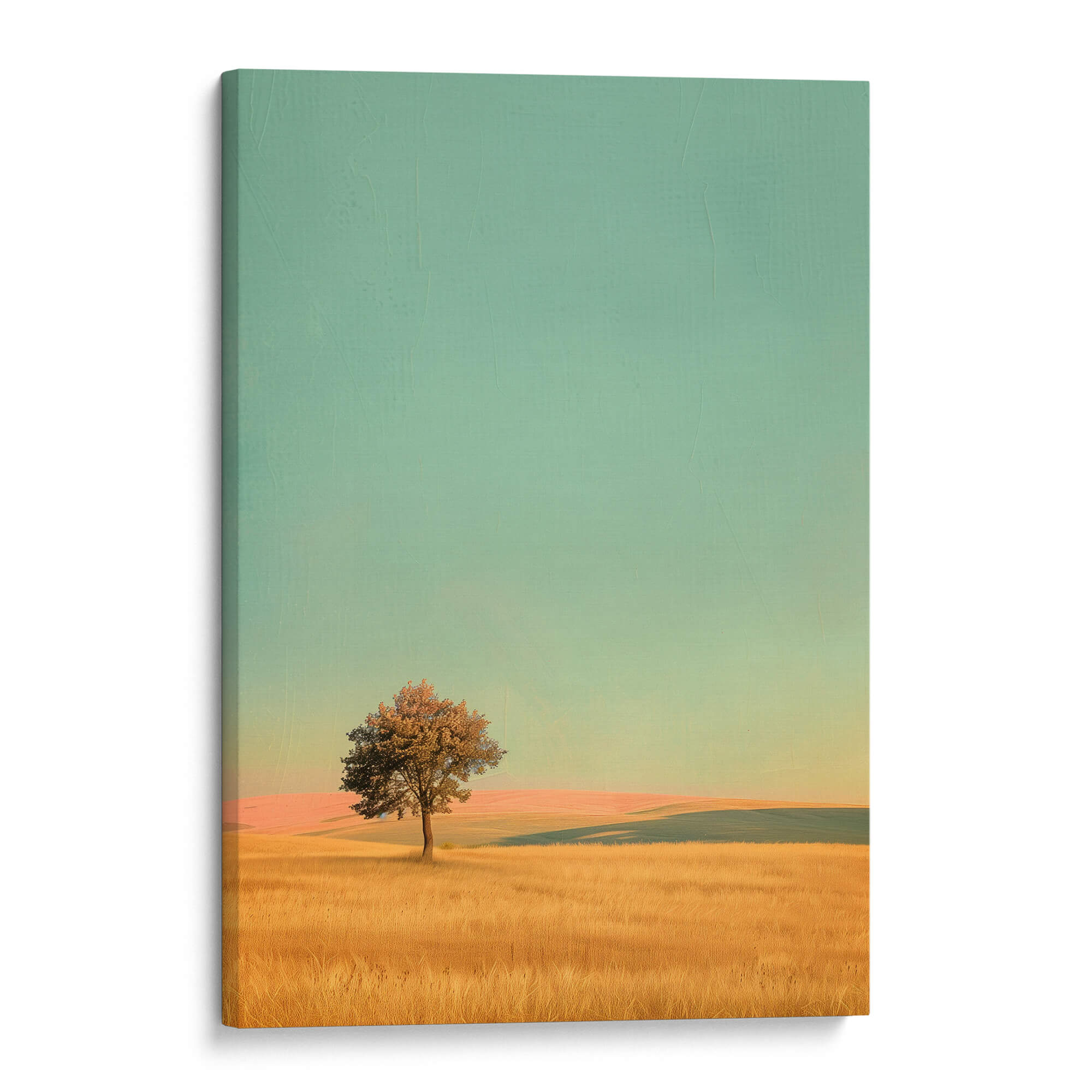 Amber Hilllands Canvas Print