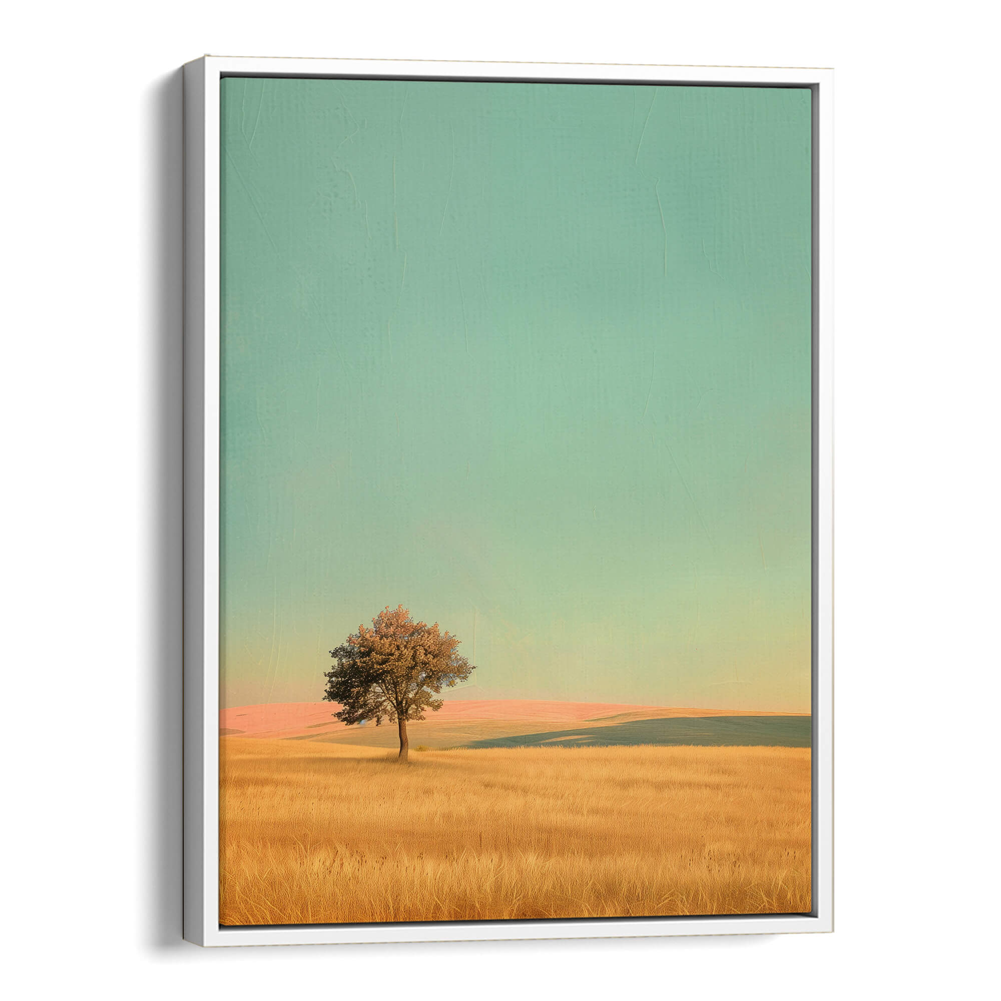 Amber Hilllands Canvas Print