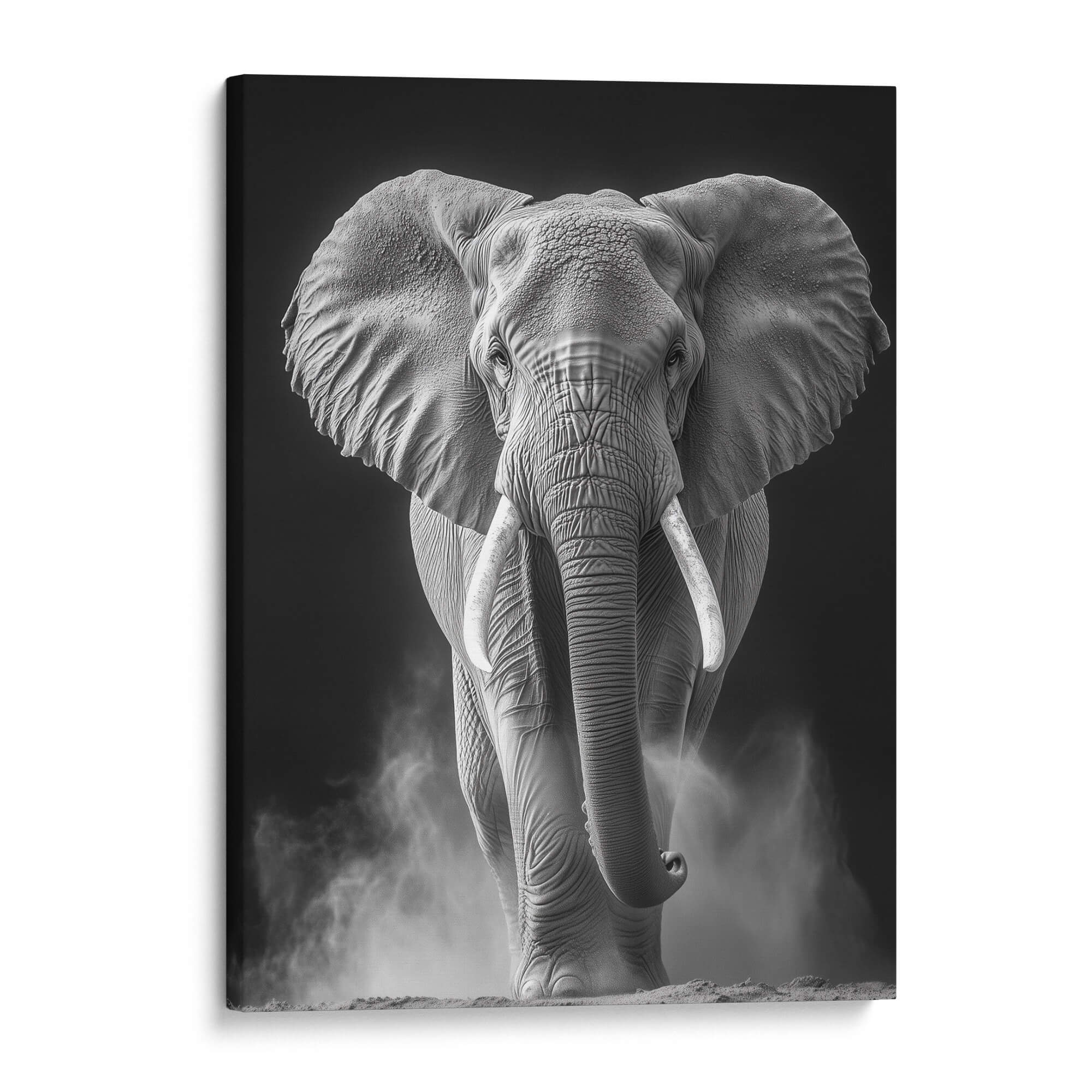 Elephant in Dust Canvas Print Canvas Art Wildfrog Art