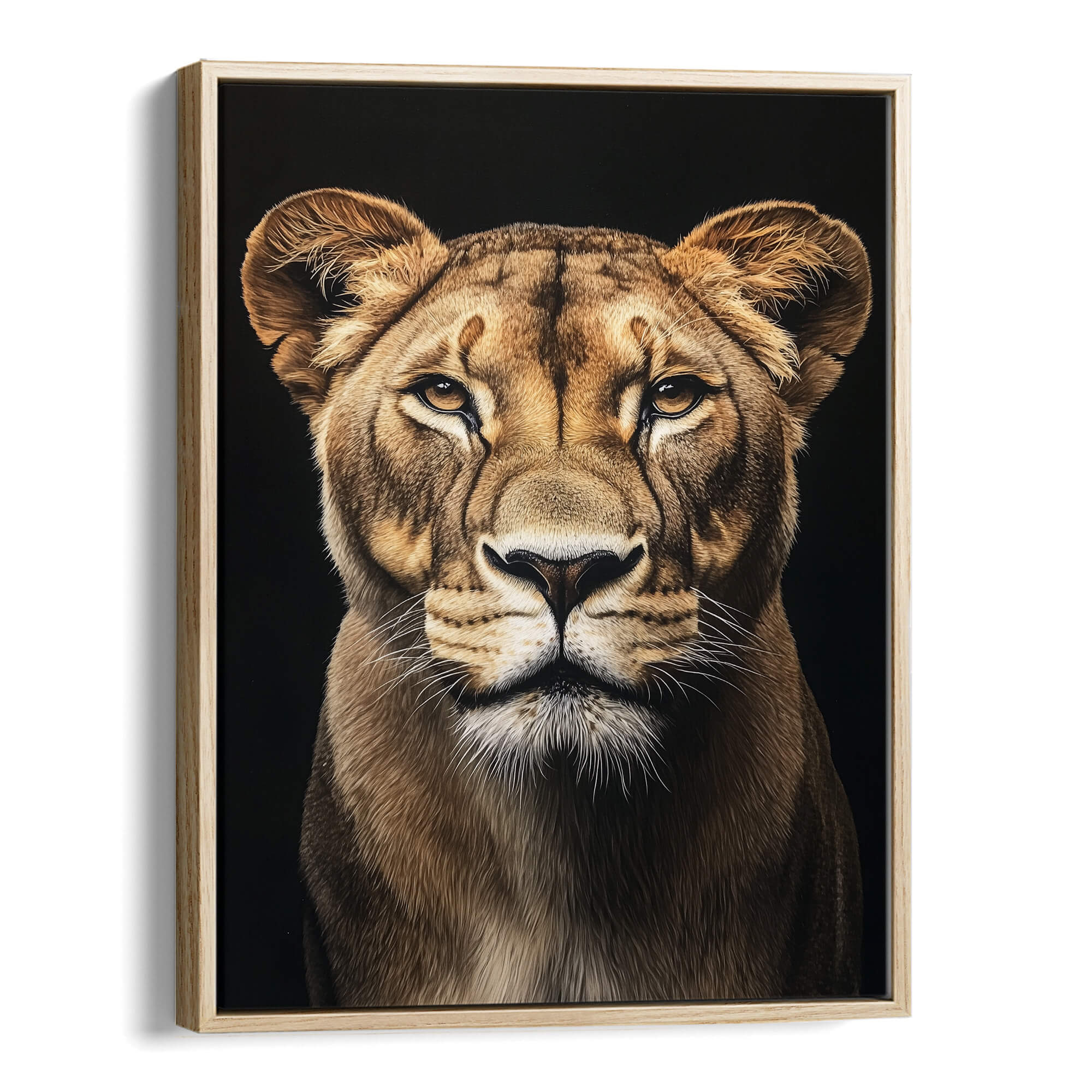 Focused Lioness Canvas Print Canvas Art Wildfrog Art