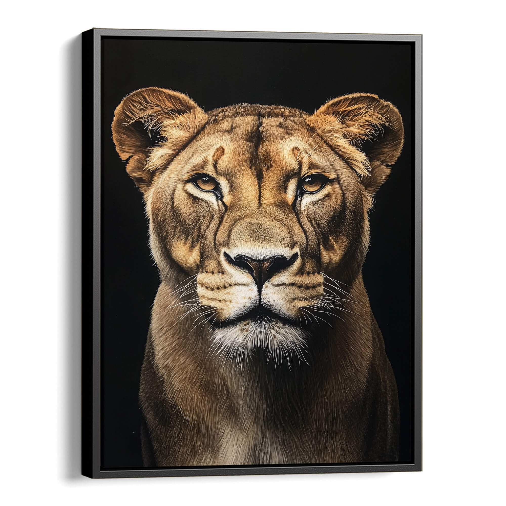 Focused Lioness Canvas Print Canvas Art Wildfrog Art