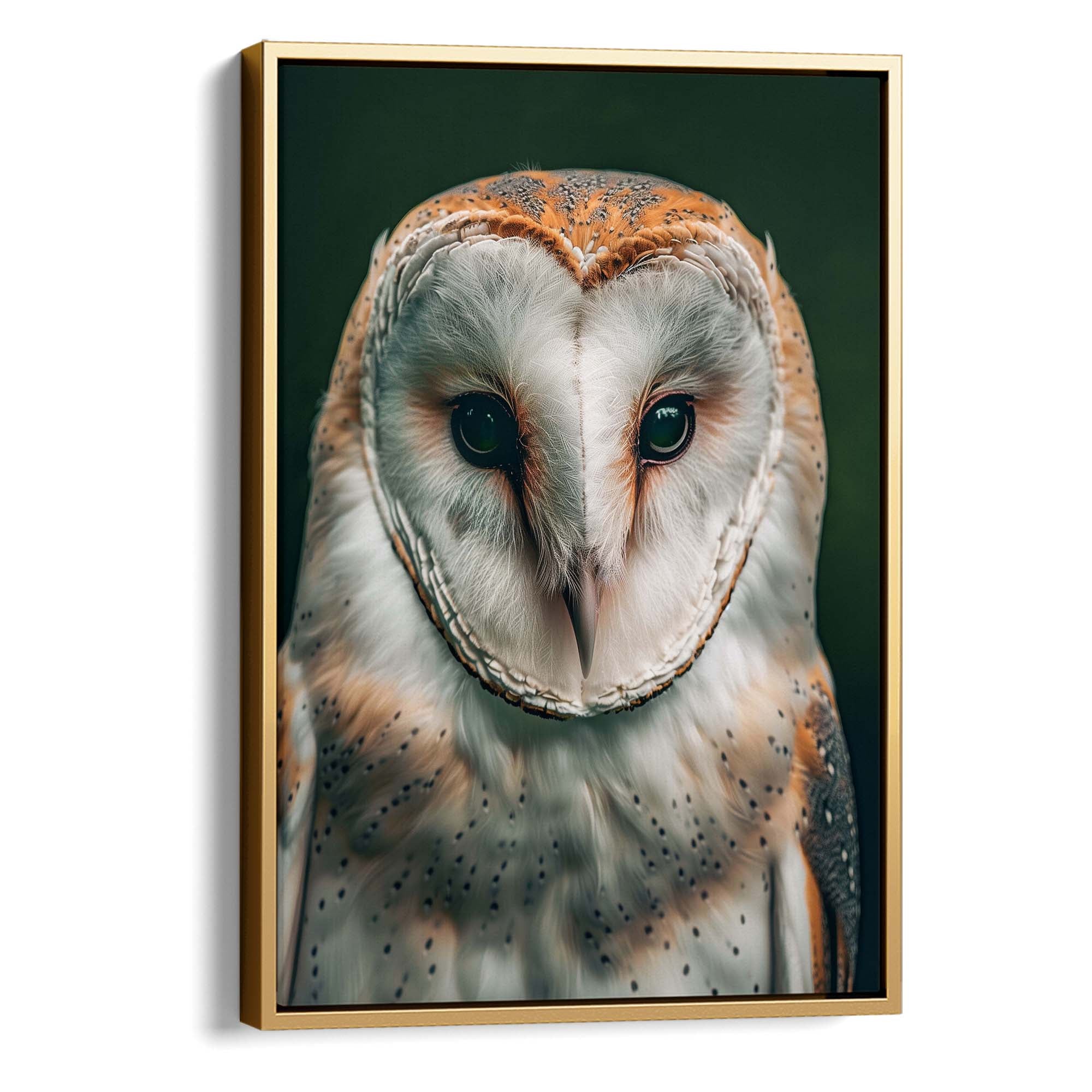 Gentle Barn Owl Canvas Print Canvas Art Wildfrog Art