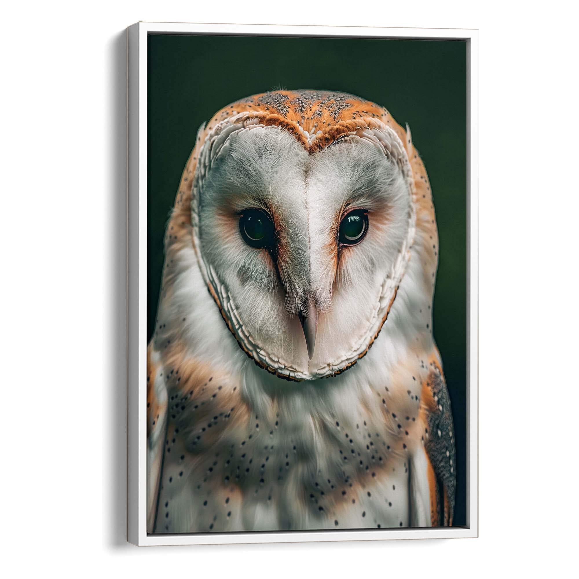 Gentle Barn Owl Canvas Print Canvas Art Wildfrog Art