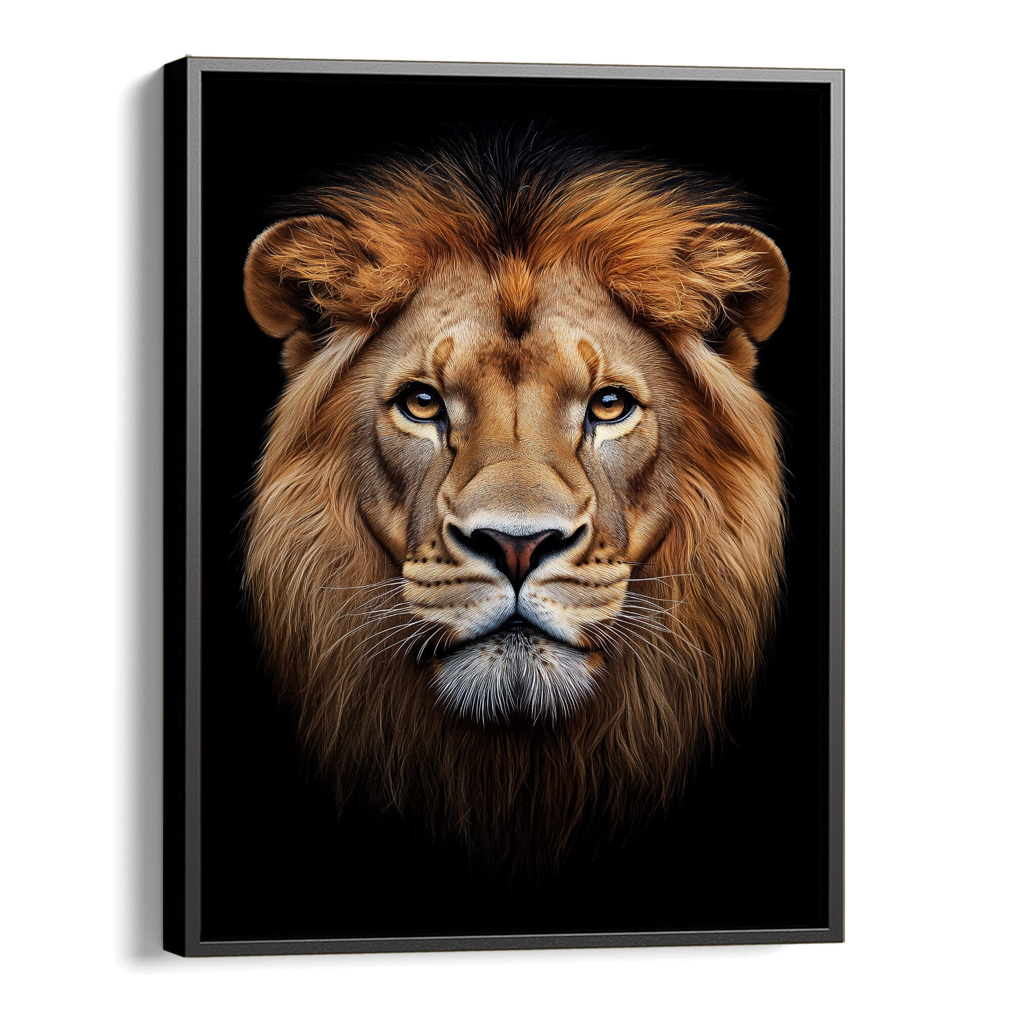 Lion Stare Canvas Print Canvas Art Wildfrog Art