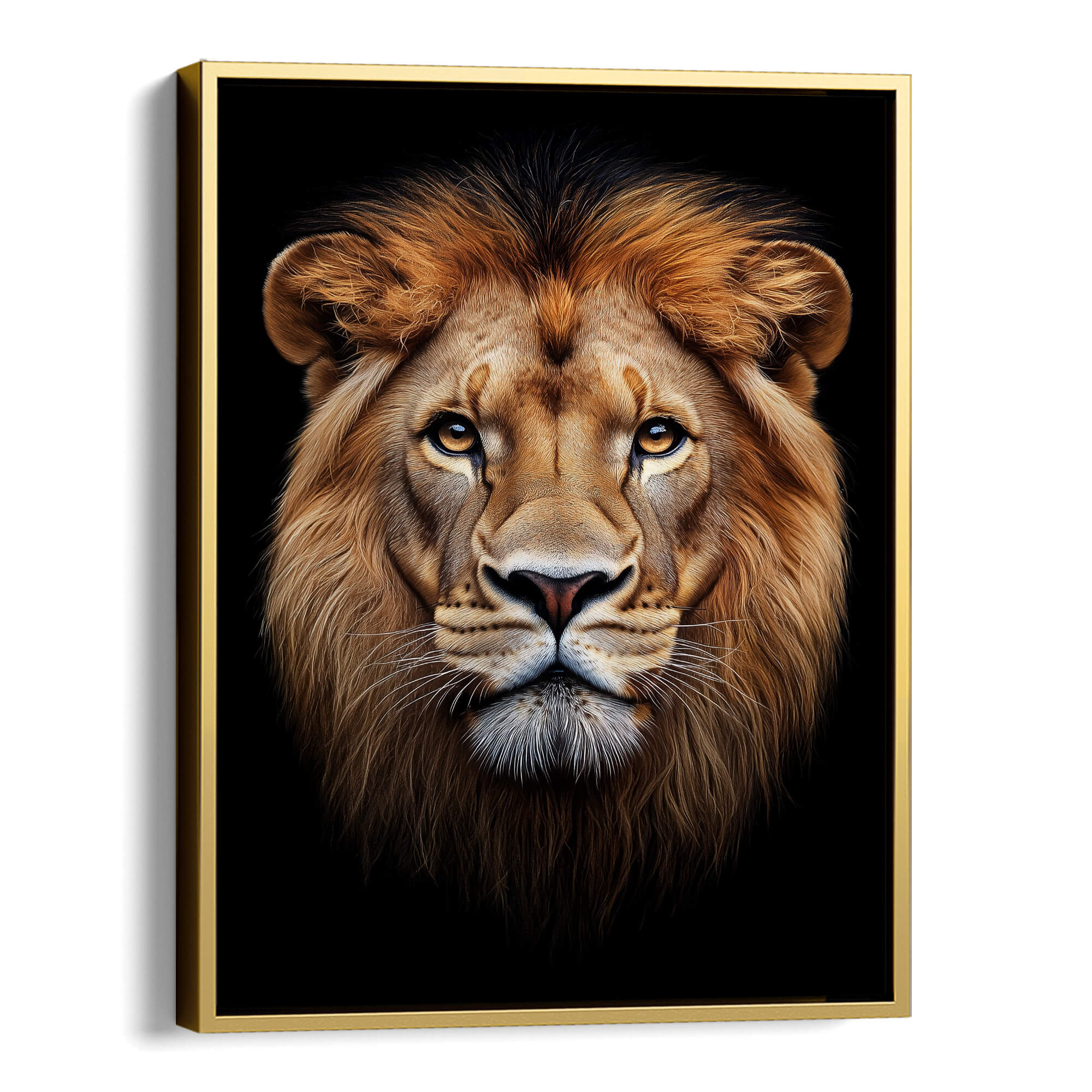 Lion Stare Canvas Print Canvas Art Wildfrog Art