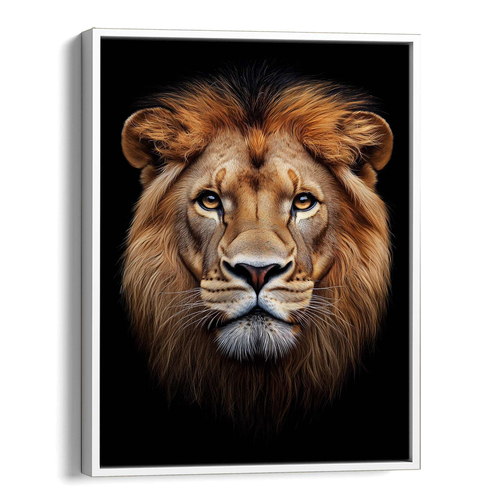 Lion Stare Canvas Print Canvas Art Wildfrog Art