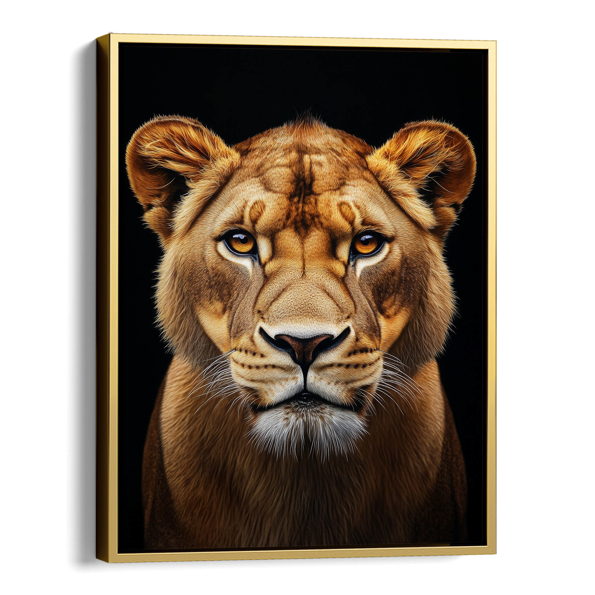 Lioness Portrait Amber Eyes Canvas Print Canvas Art Wildfrog Art