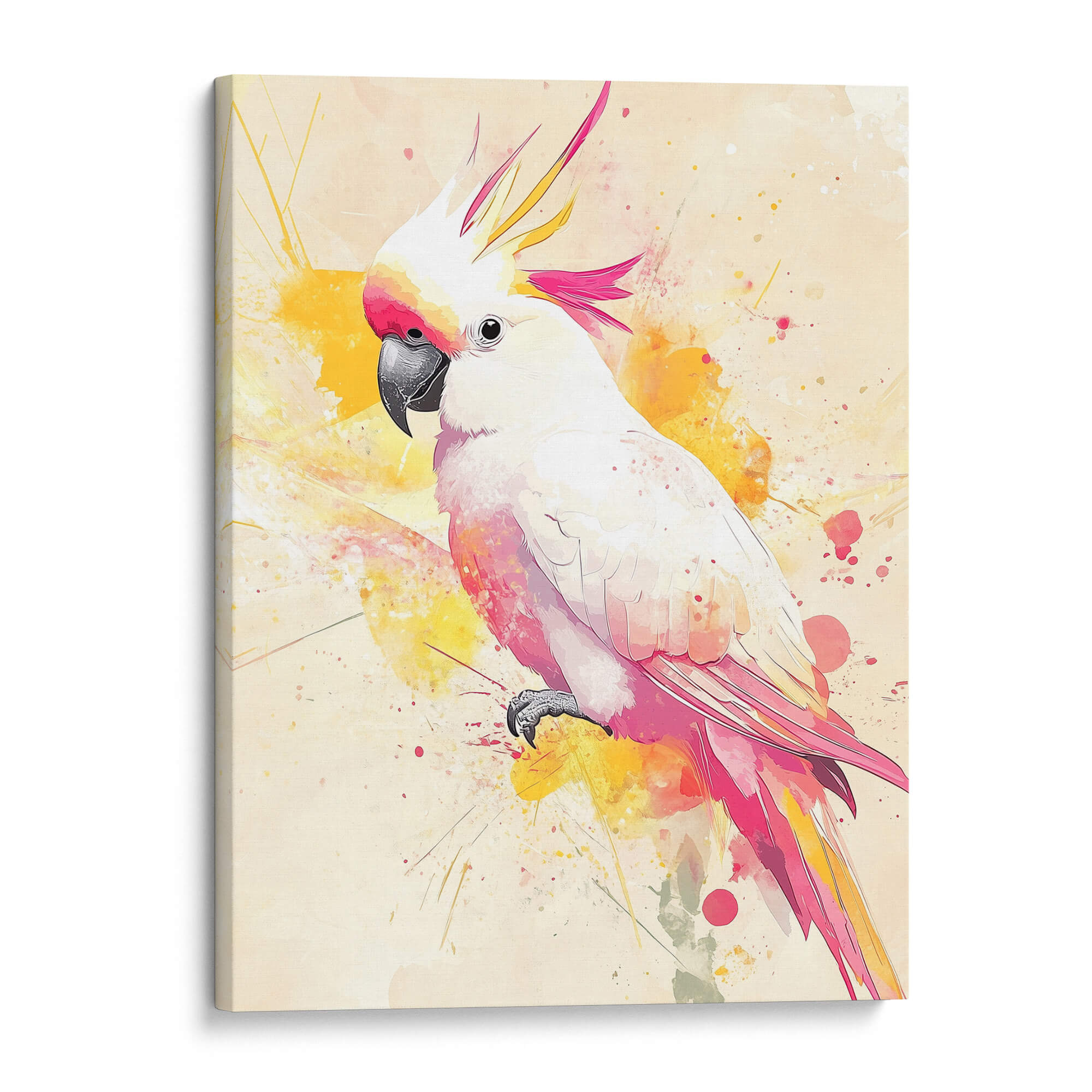 Pink Crest Cockatoo Canvas Print