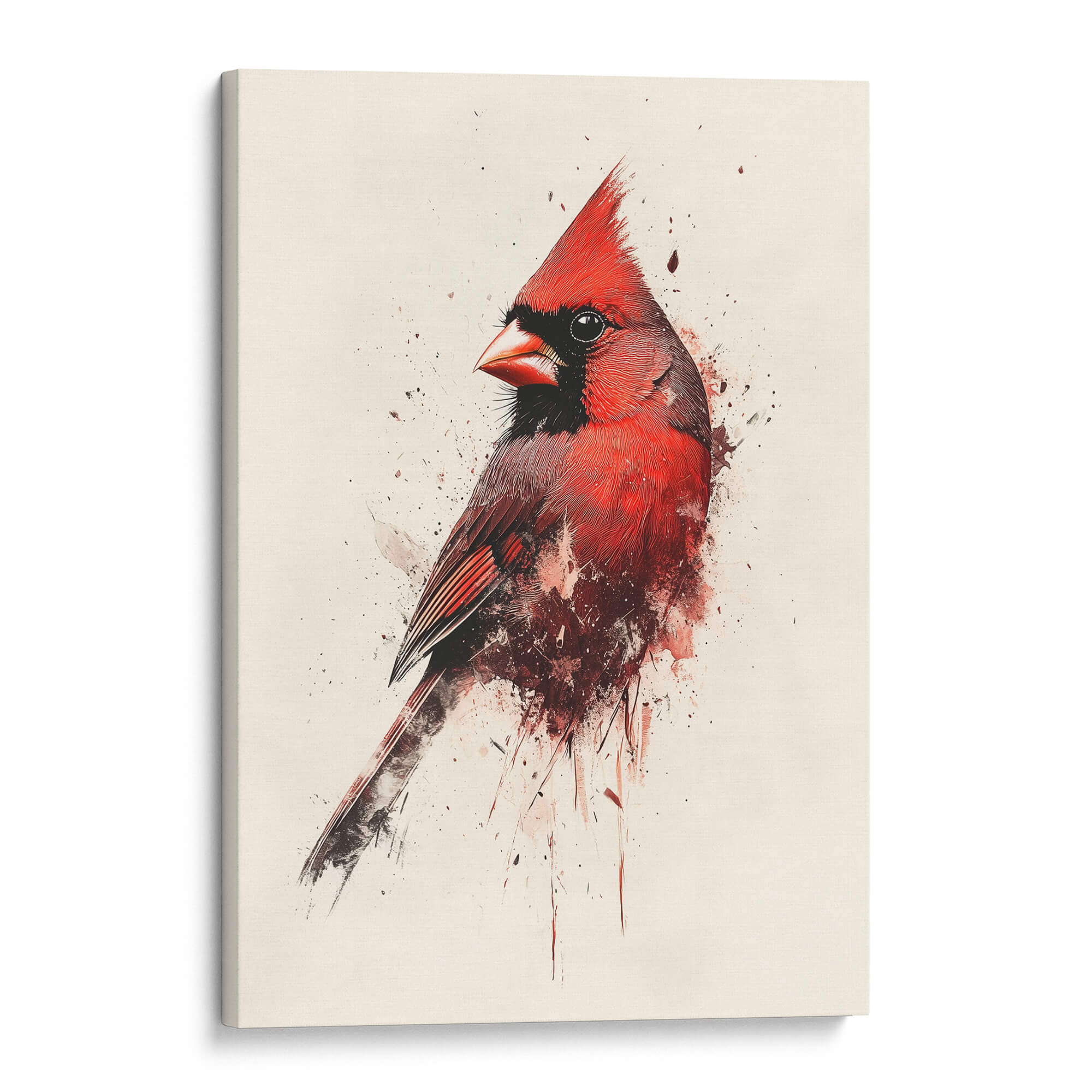 Red Cardinal Splash No3 Canvas Print