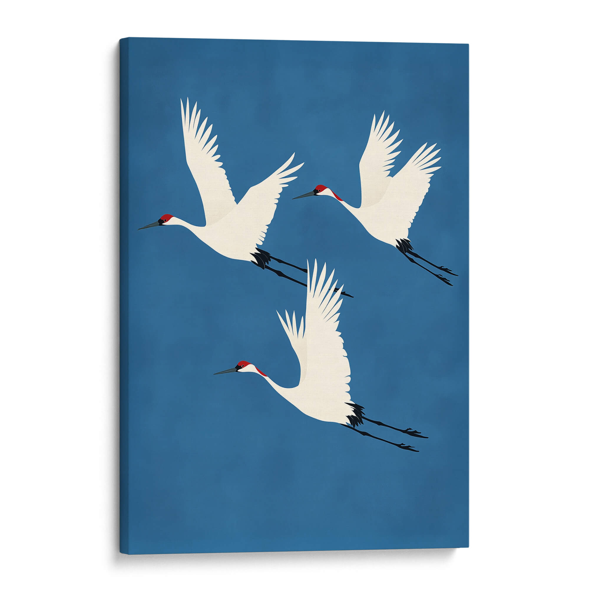 Red Crested Cranes No3 Canvas Print