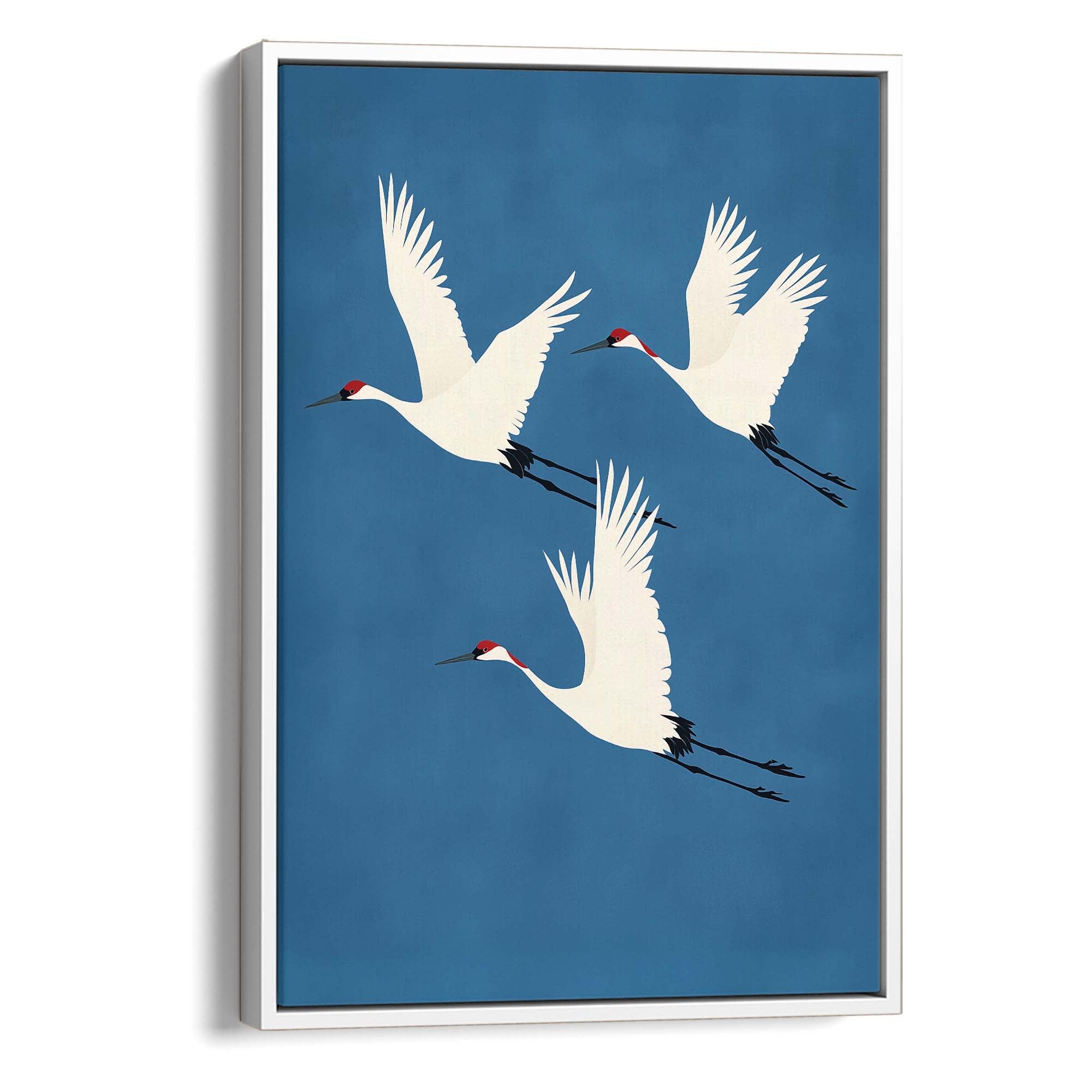Red Crested Cranes No3 Canvas Print