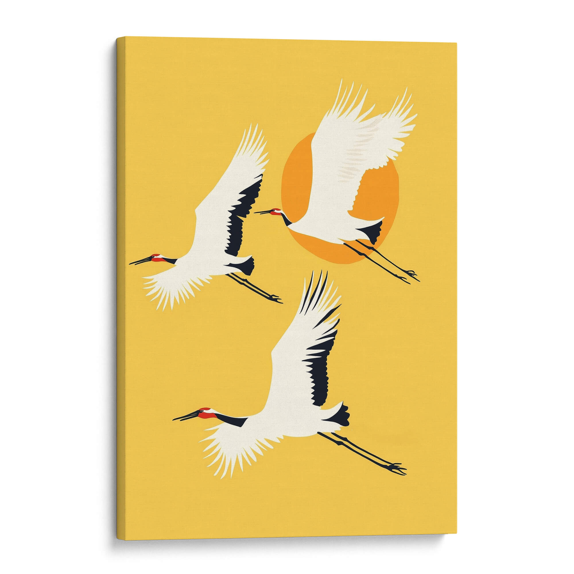 Red Crested Cranes Canvas Print