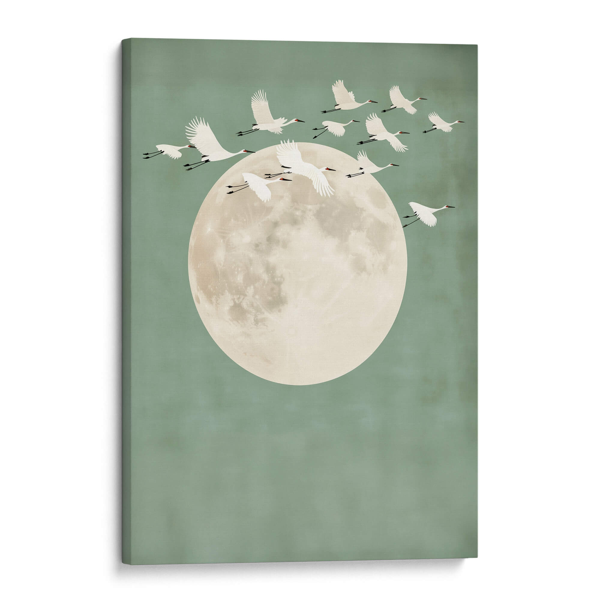 Sage Green Cranes Portrait Canvas Print