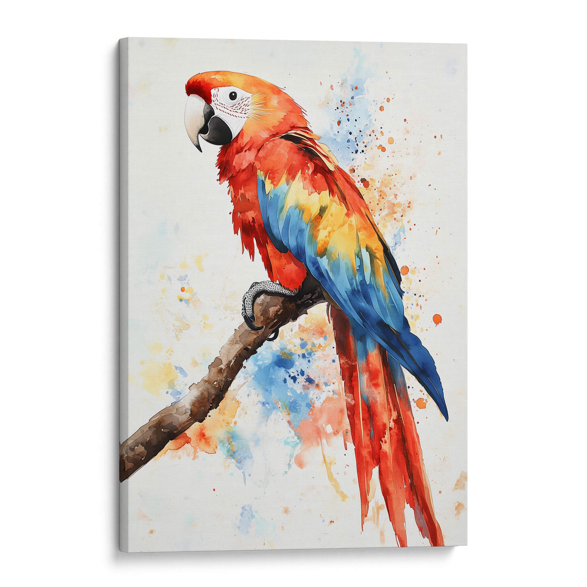 Scarlet Macaw No1 Canvas Print