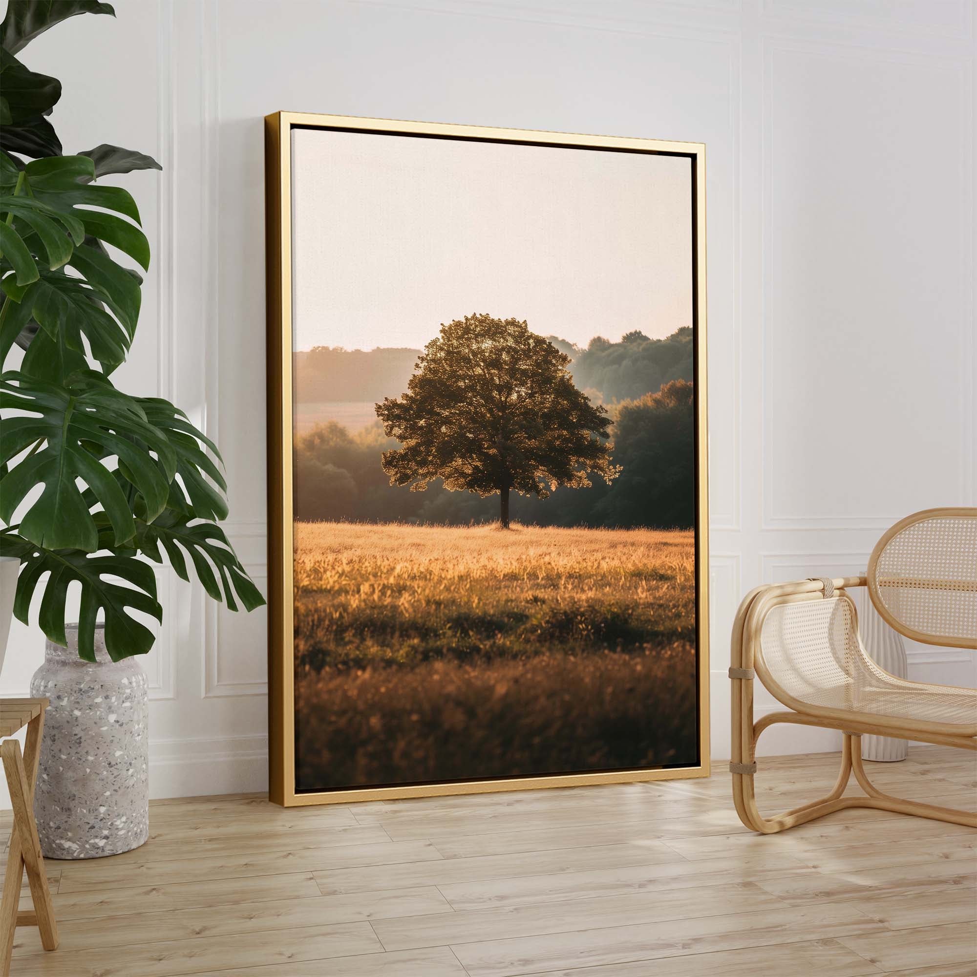 Sunlit Sanctuary Canvas Print