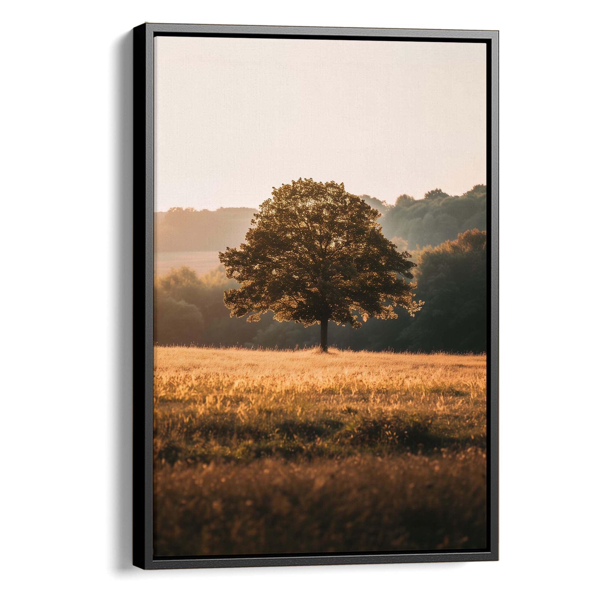 Sunlit Sanctuary Canvas Print