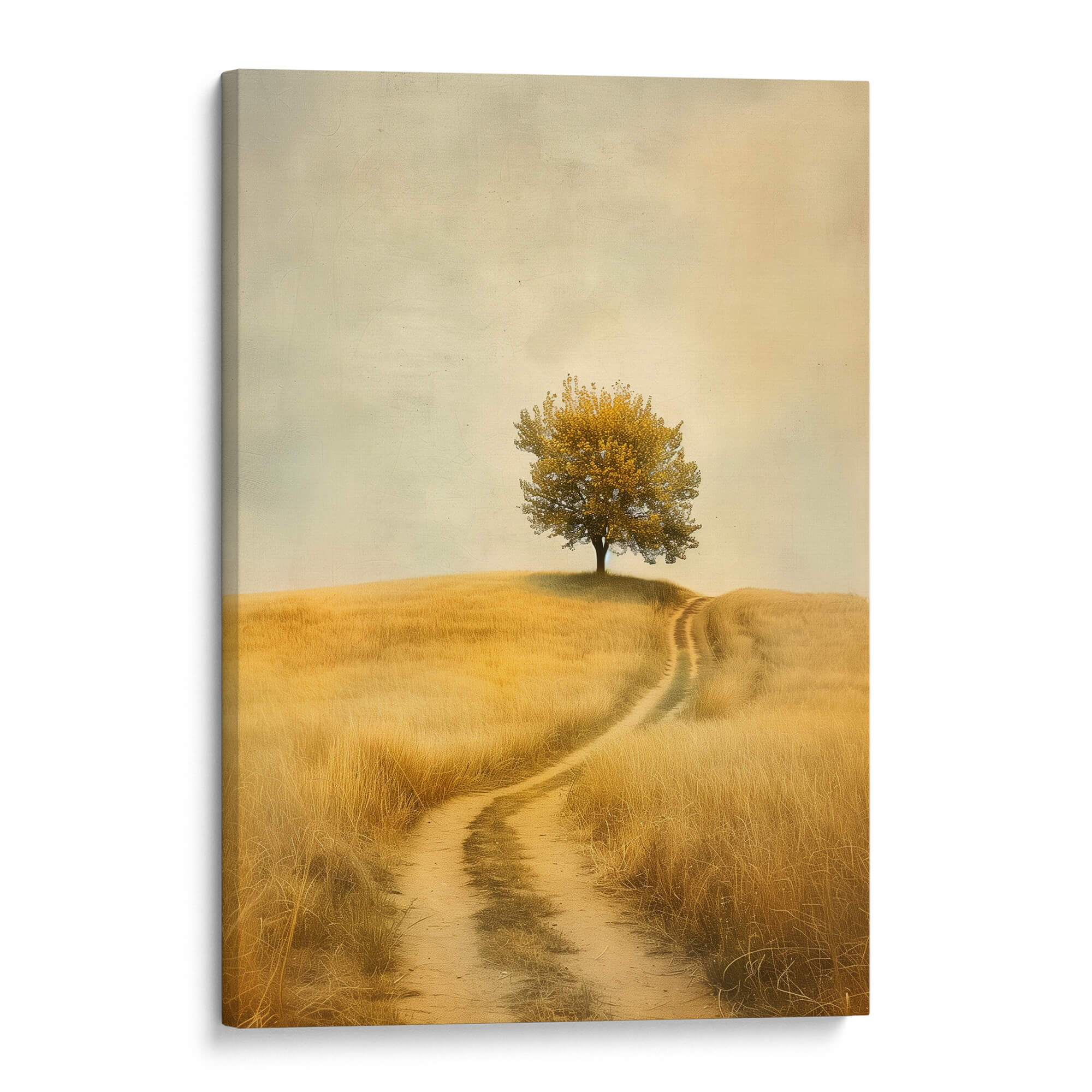 The Meadow Path Canvas Print