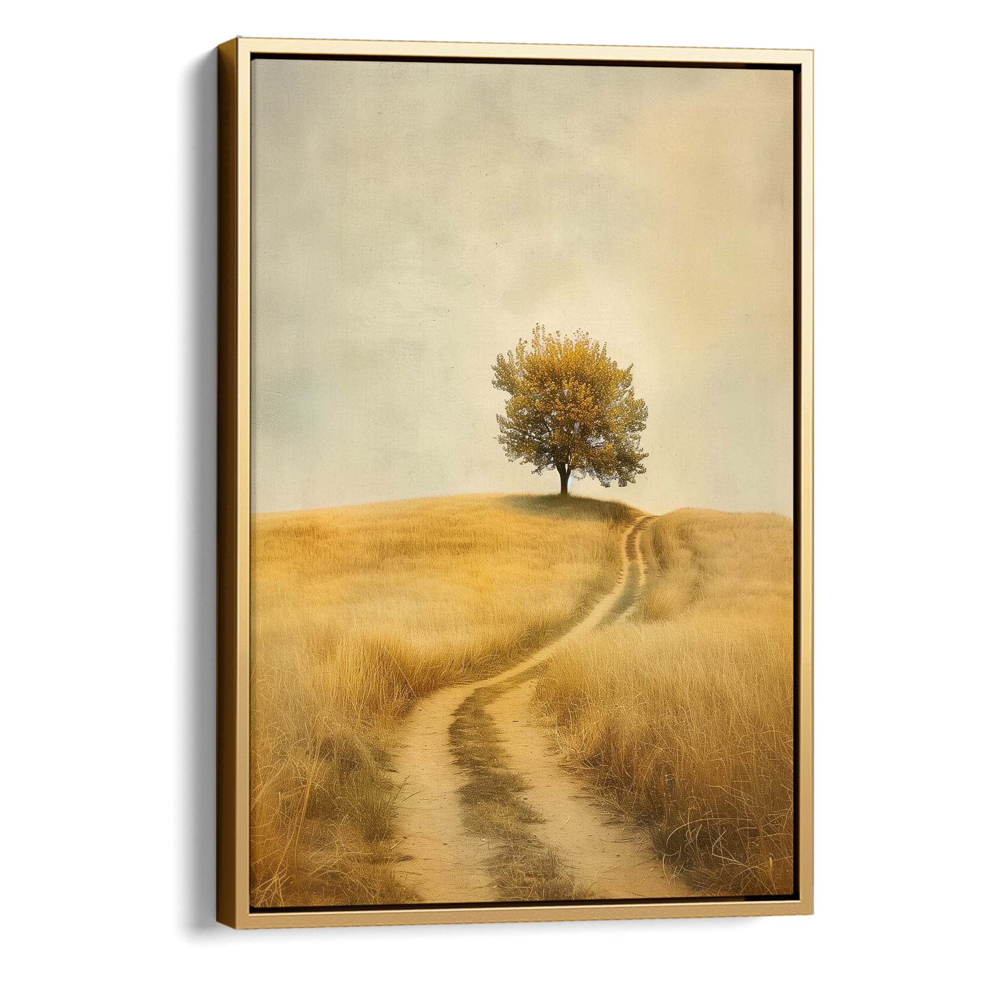 The Meadow Path Canvas Print