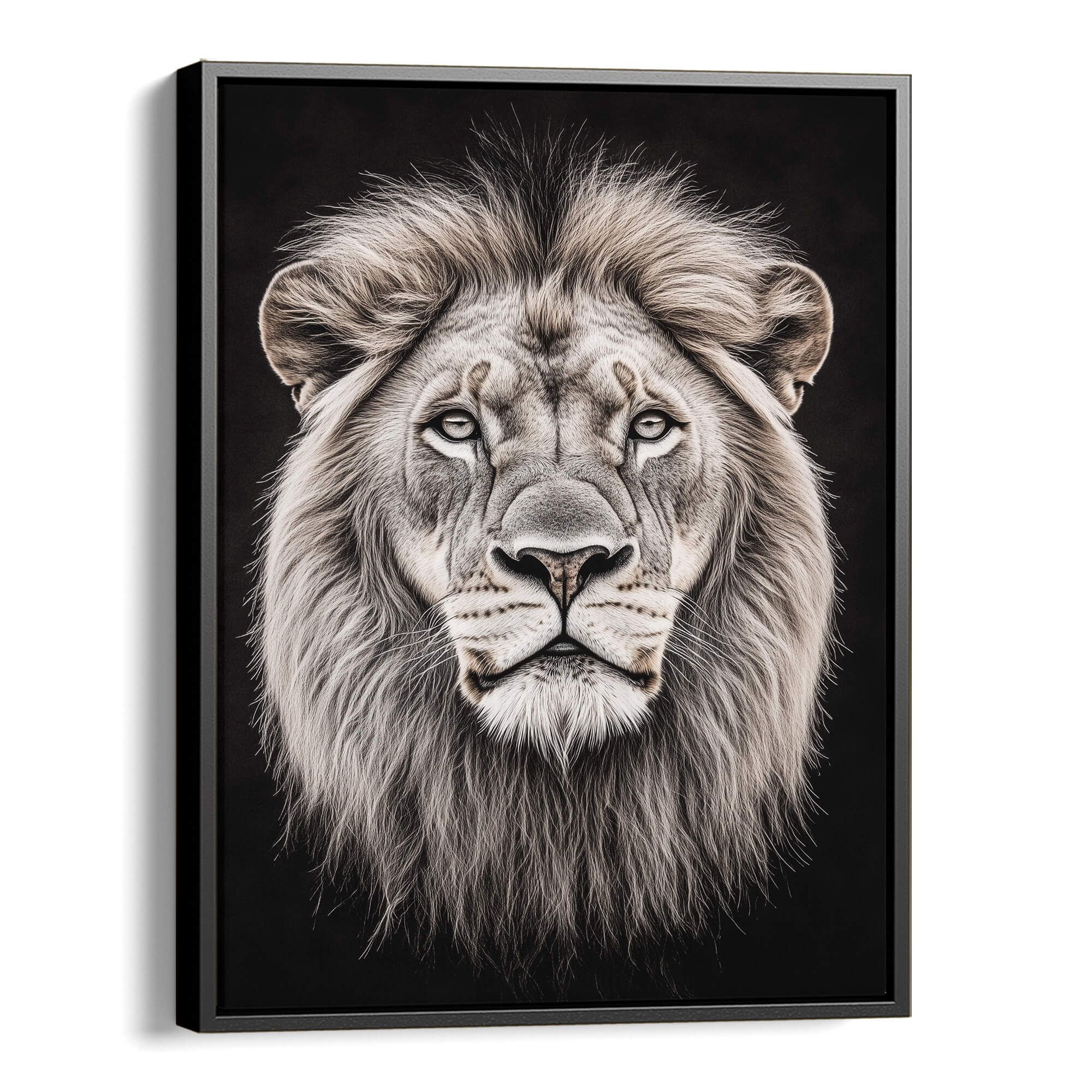 White Lion Portrait Canvas Print Canvas Art Wildfrog Art