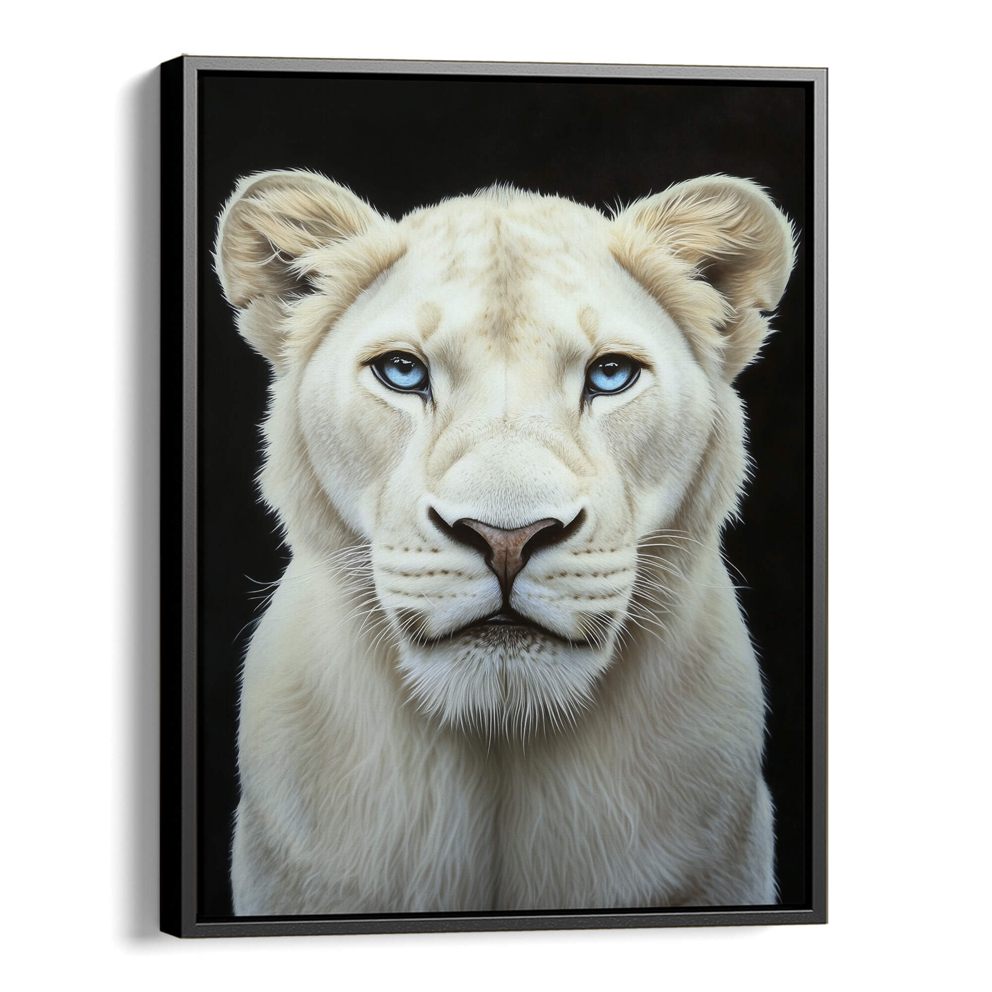 White Lioness Canvas Print Canvas Art Wildfrog Art